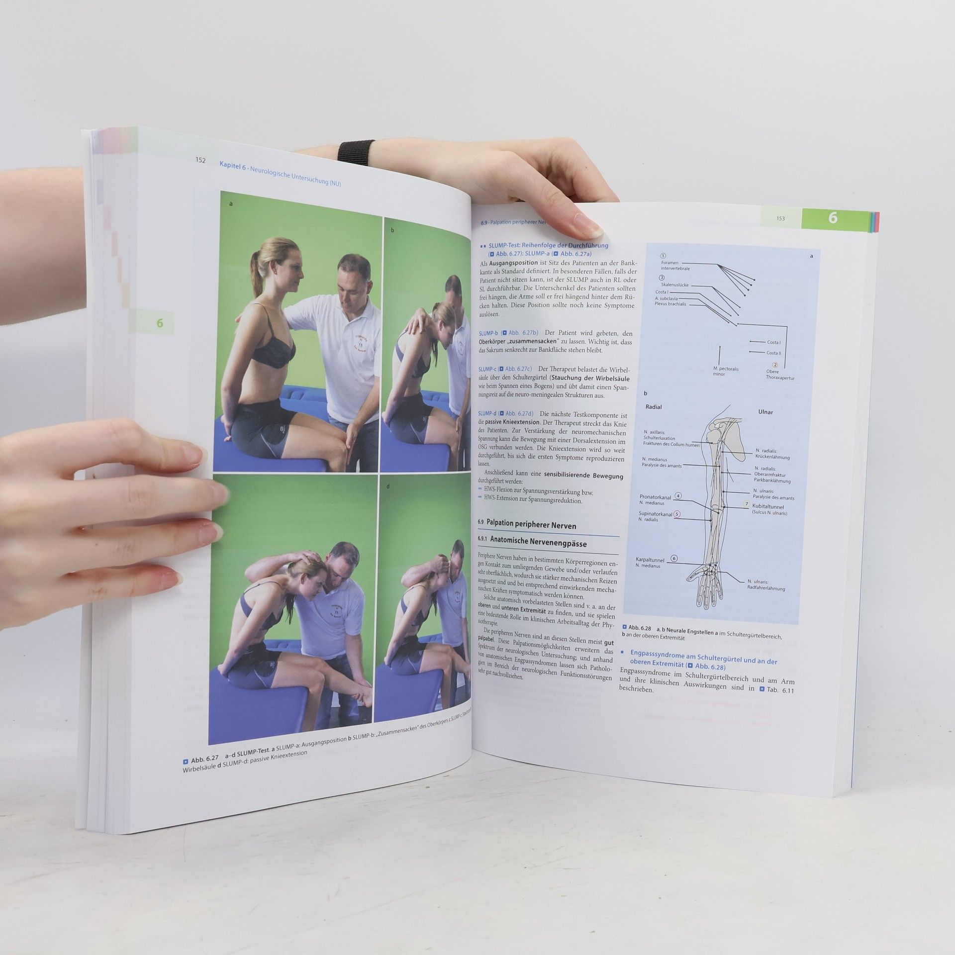 Kay Bartrow Physiotherapie Basics: Untersuchen und Befunden in der Physiotherapie