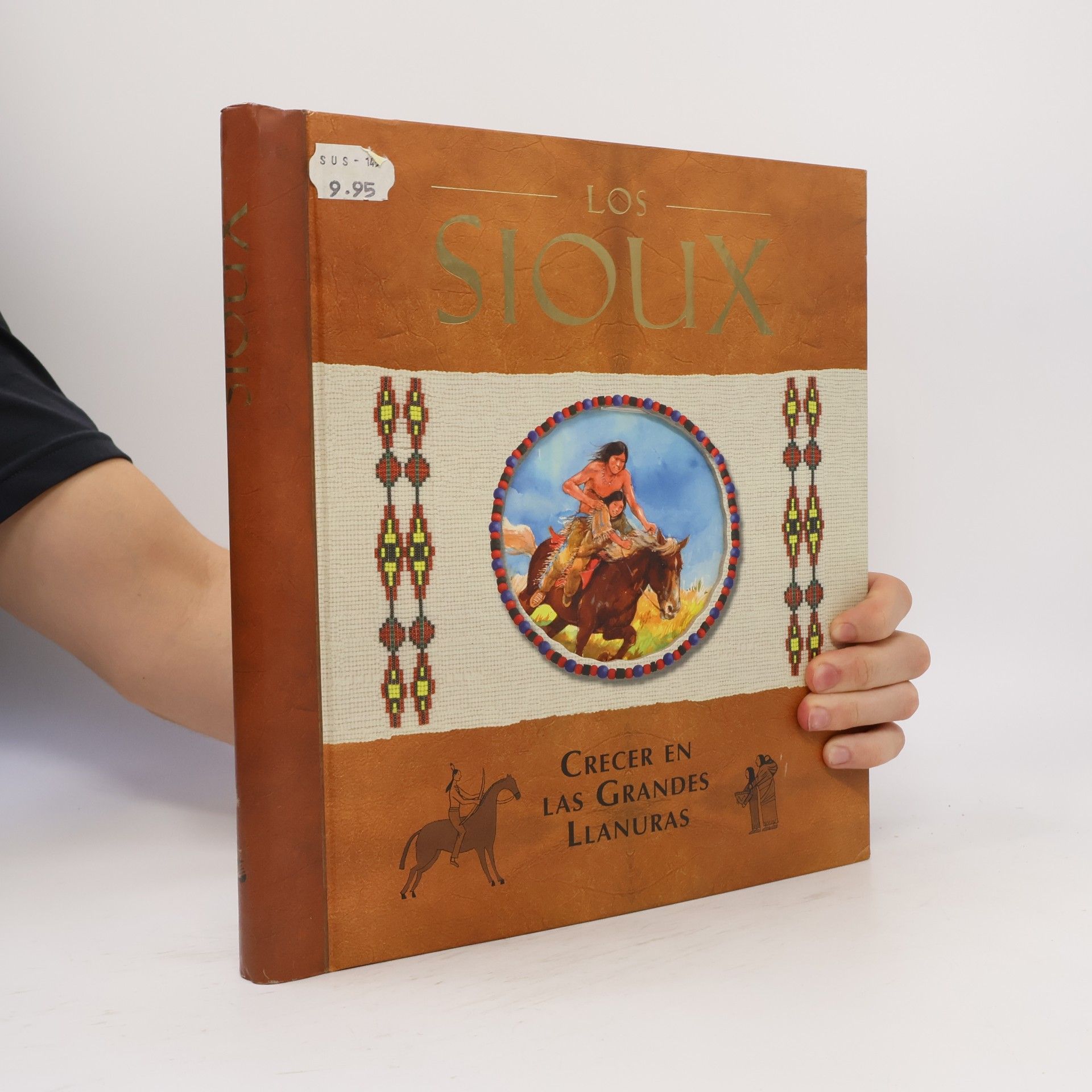 Diarios con historia: Los Sioux