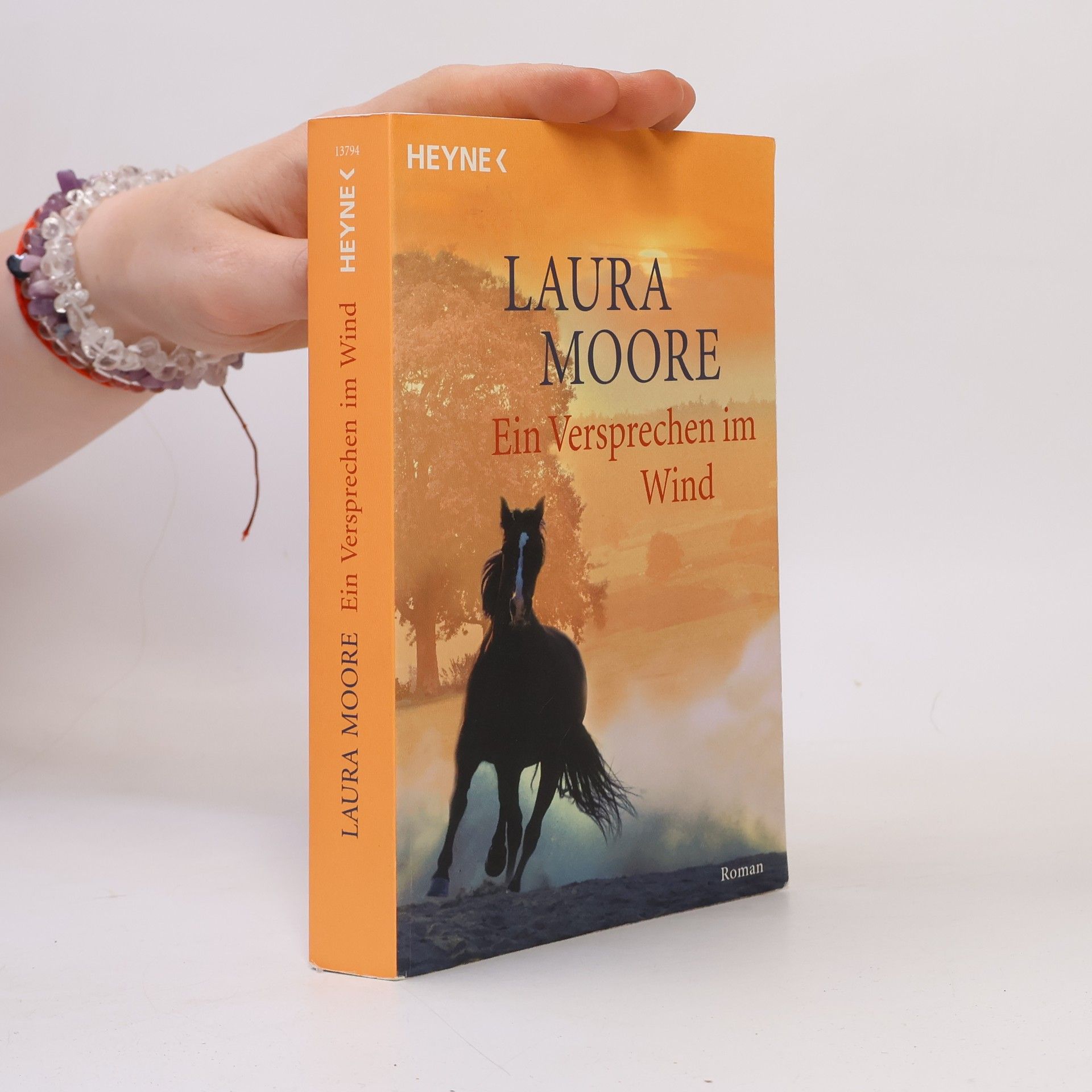 Laura Moore Ein Versprechen im Wind