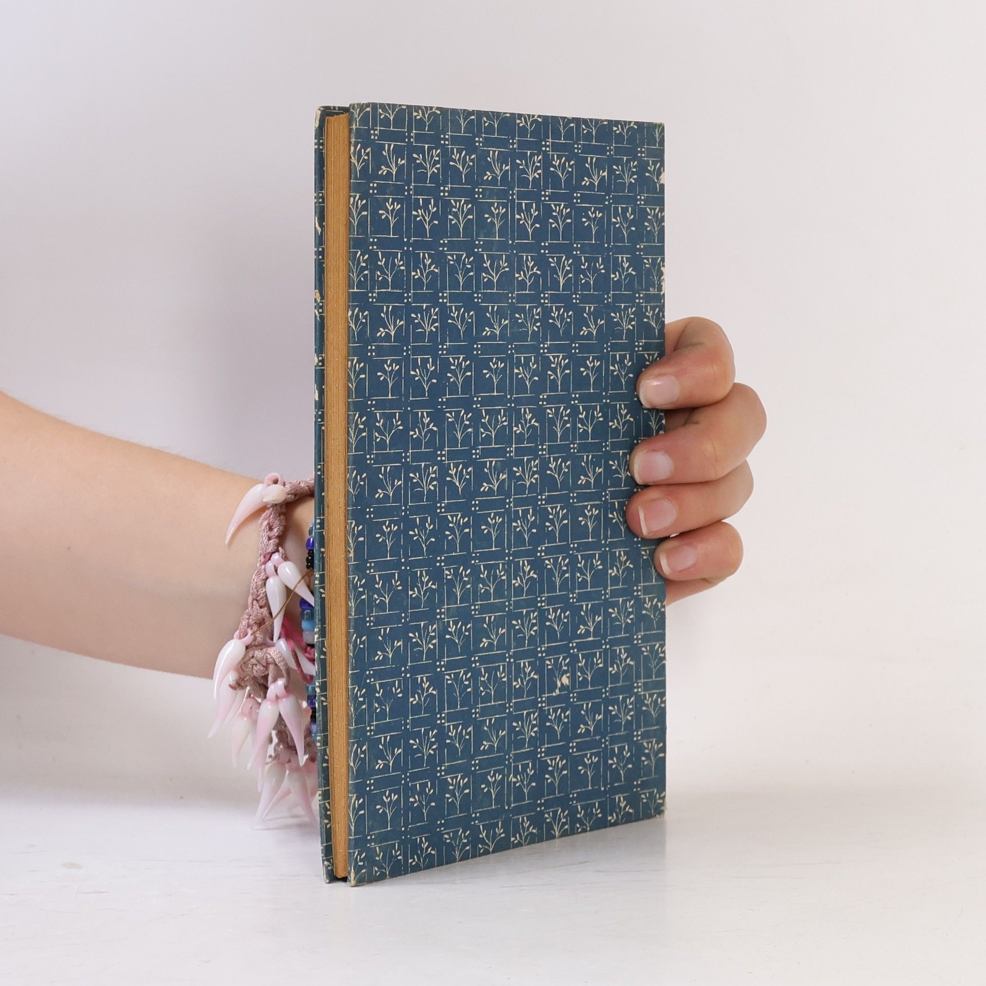 Hans Christian Andersen Bilderbuch ohne Bilder