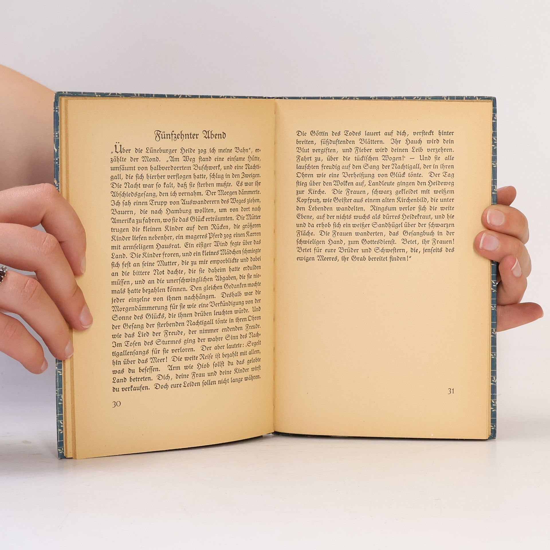 Hans Christian Andersen Bilderbuch ohne Bilder