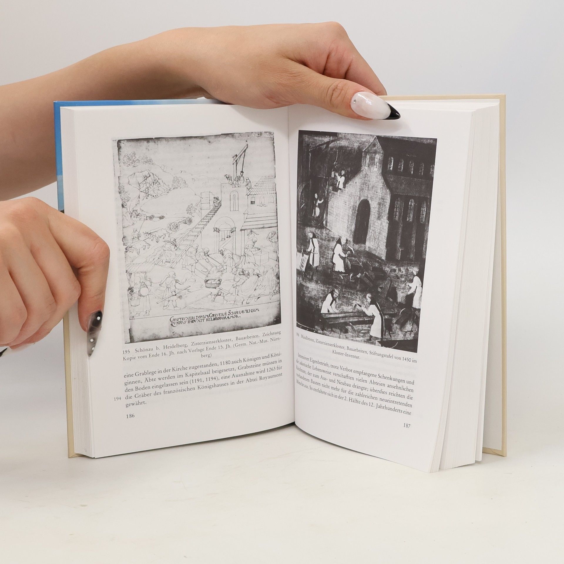 Günther Binding Kleine Kunstgeschichte der mittelalterlichen Ordensbaukunst in Deutschland