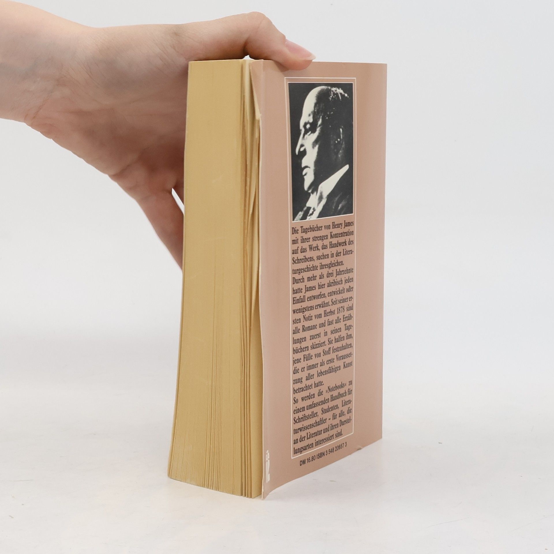 Henry James Tagebuch eines Schriftstellers