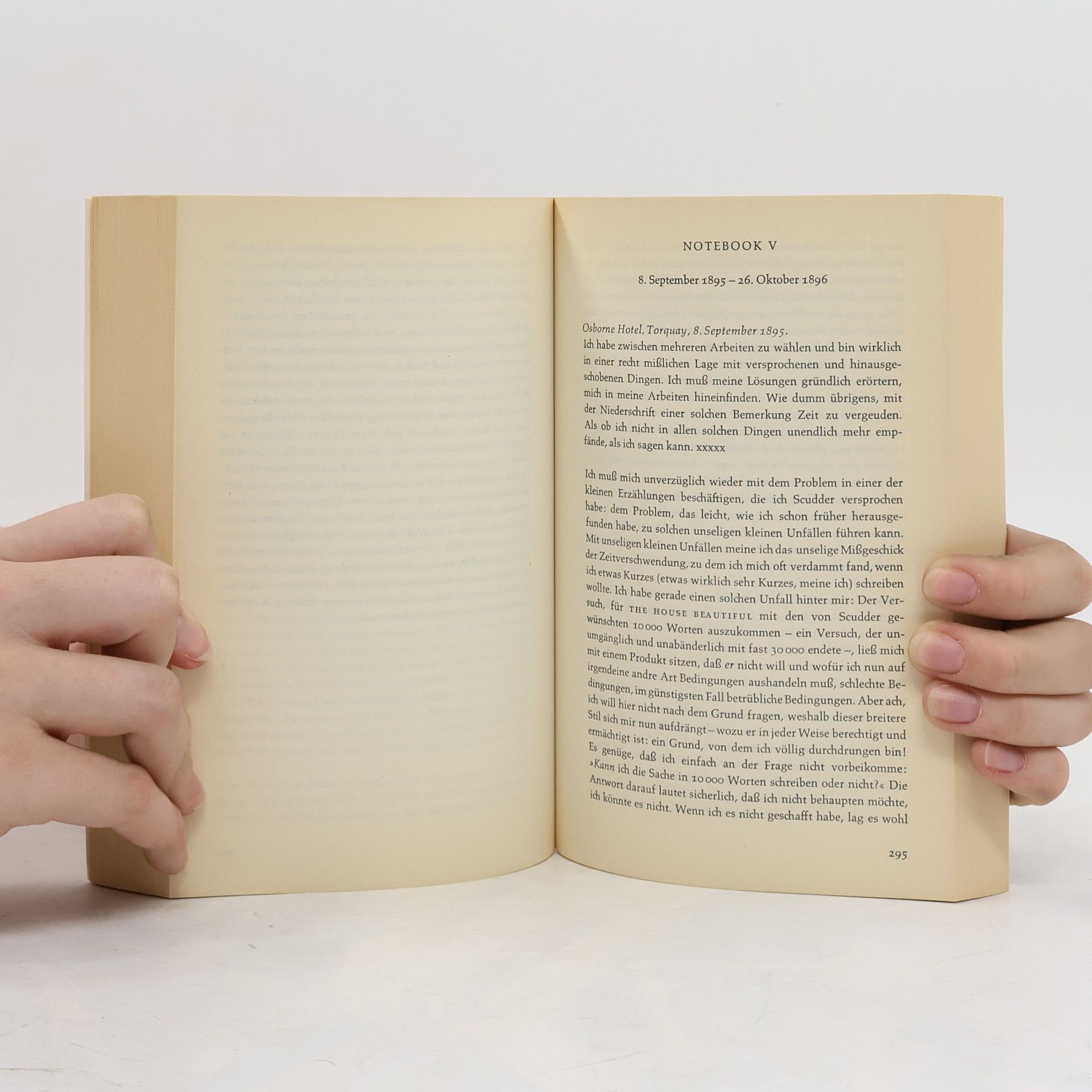 Henry James Tagebuch eines Schriftstellers