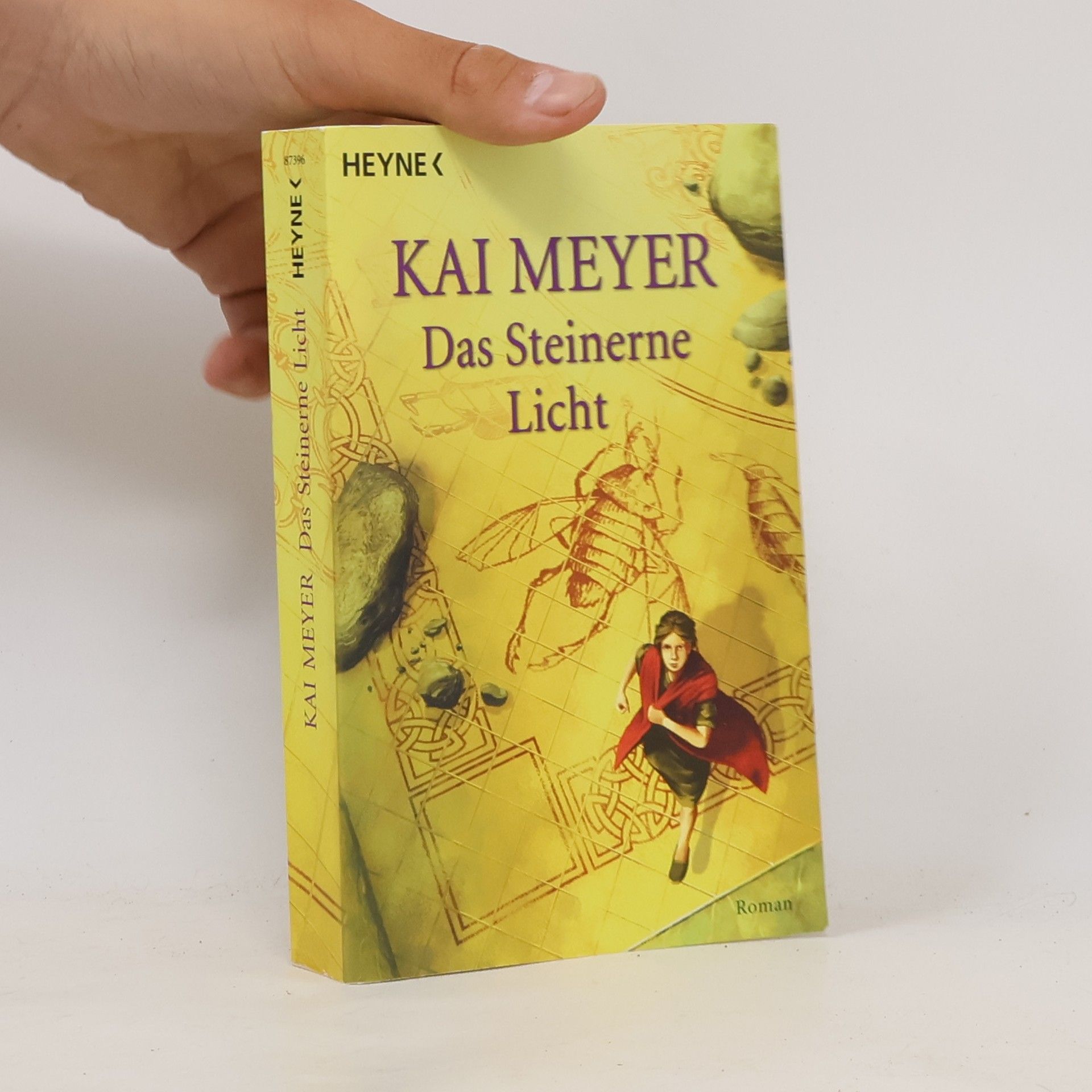 Kai Meyer Das steinerne Licht