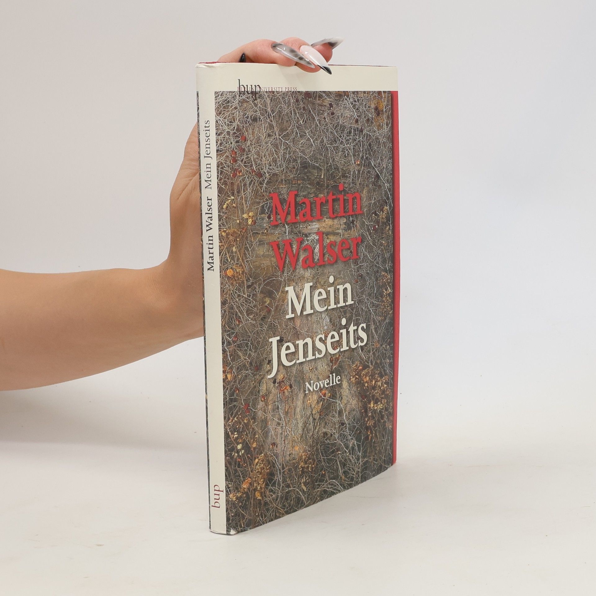 Martin Walser Mein Jenseits