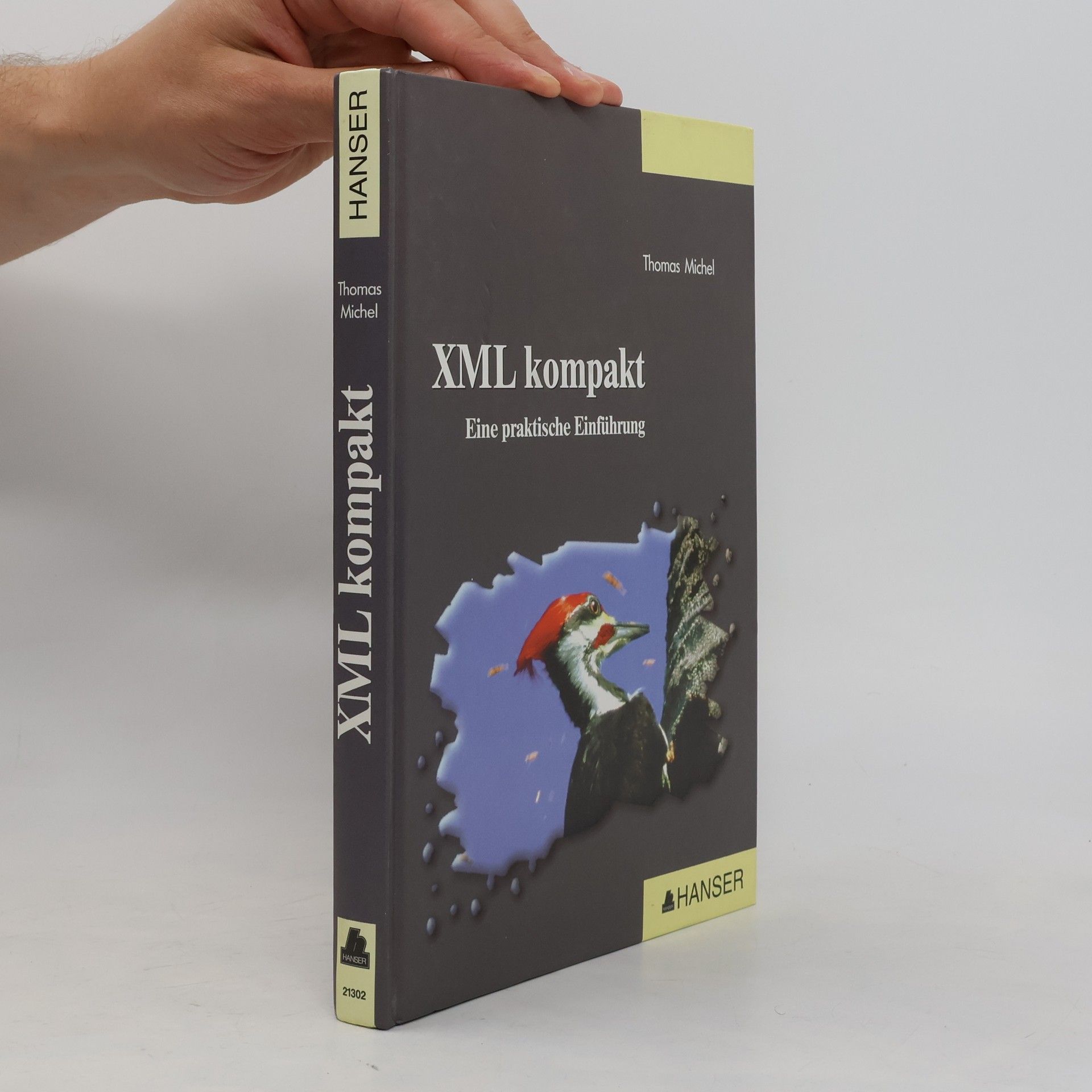 Thomas Michel XML kompakt