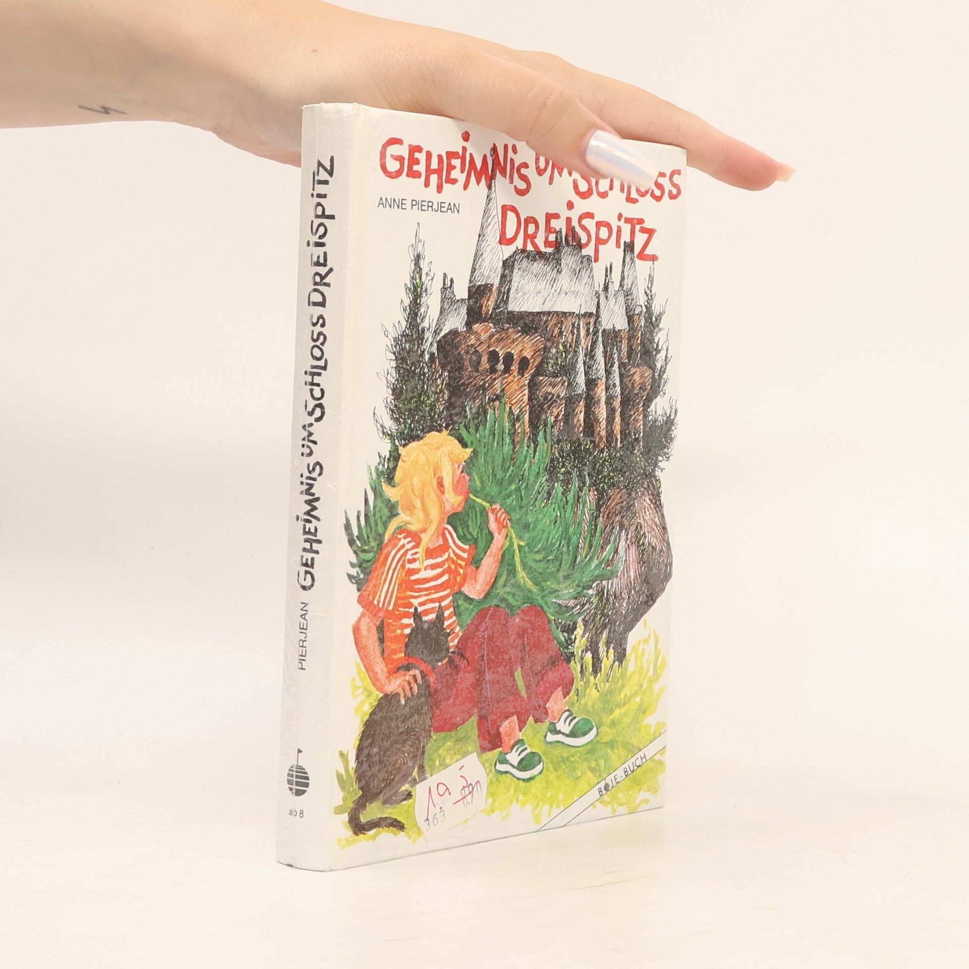 Ruth Hagen-Torn Geheimnis um Schloß Dreispitz