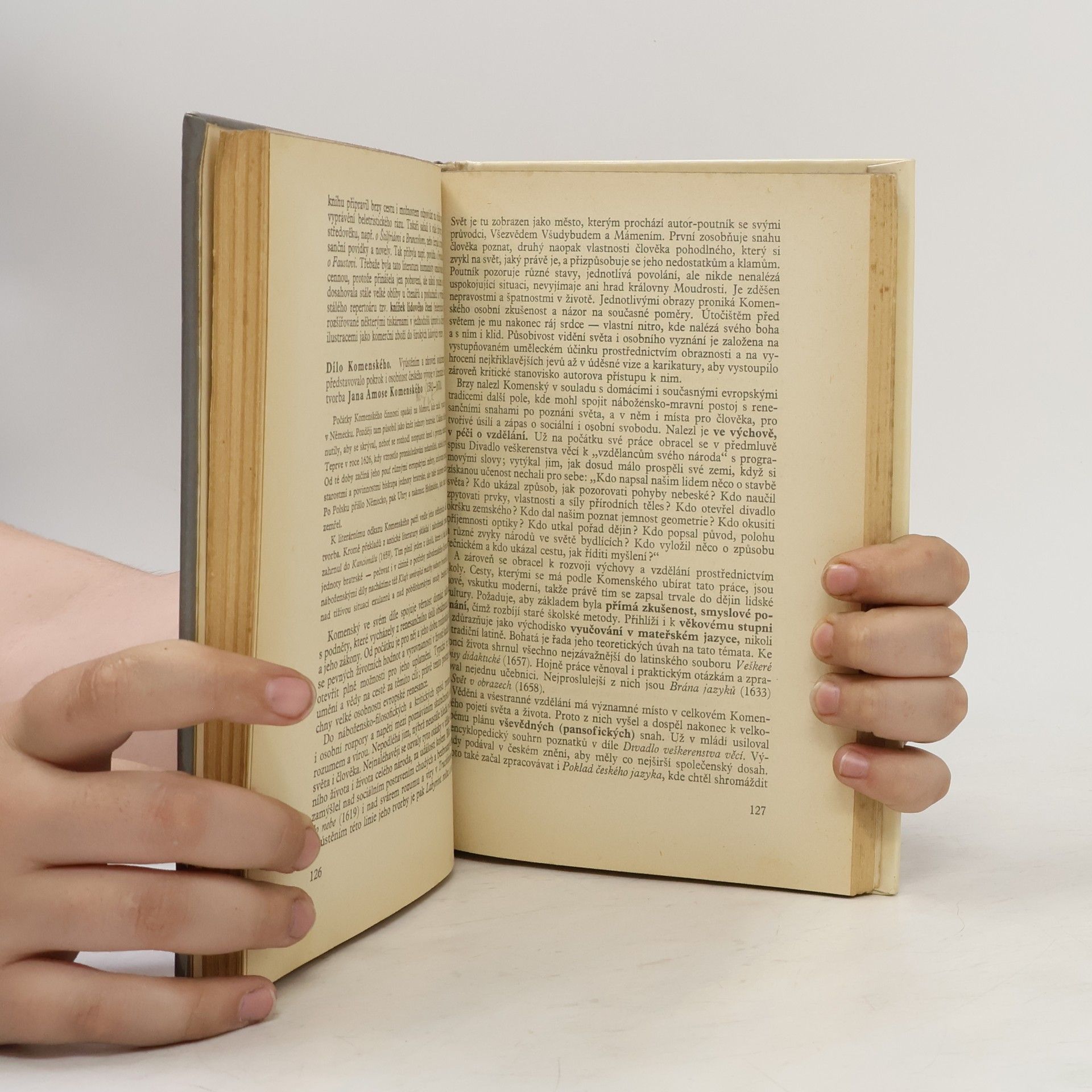 Collectif d'auteurs Svět literatury I