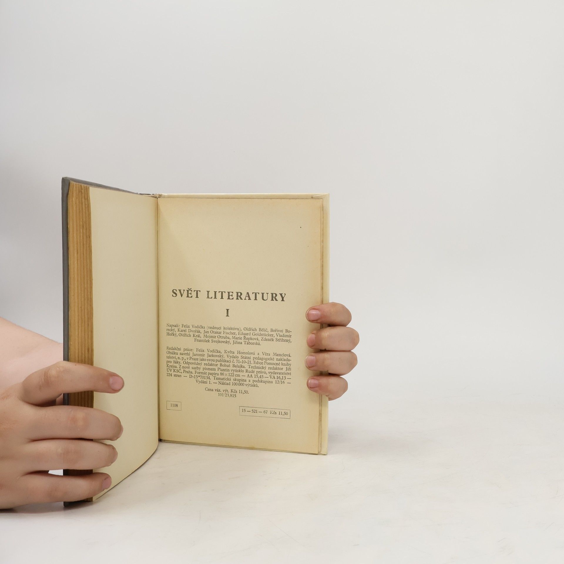 Collectif d'auteurs Svět literatury I