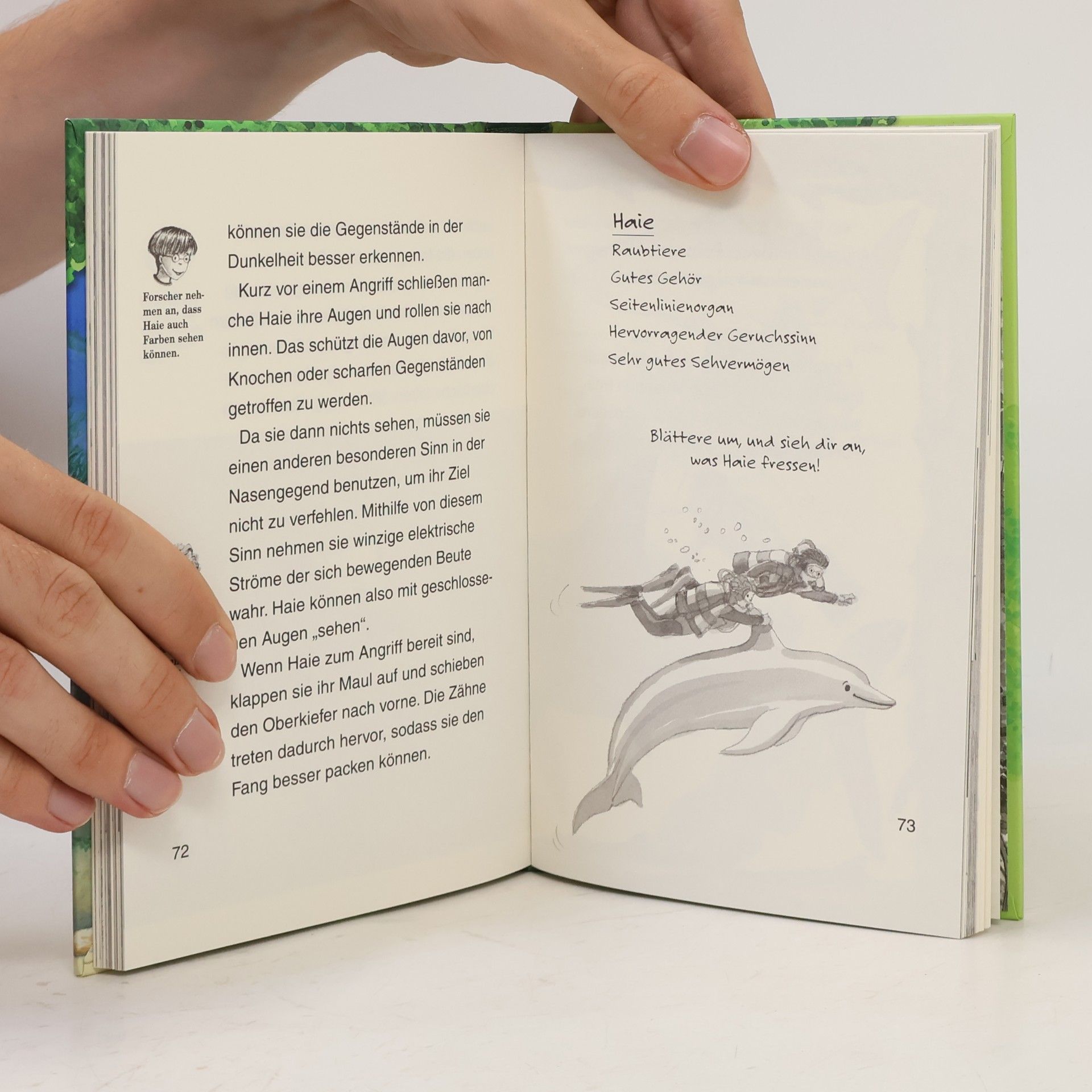 Mary Pope Osborne Forscherhandbuch Delfine und Haie
