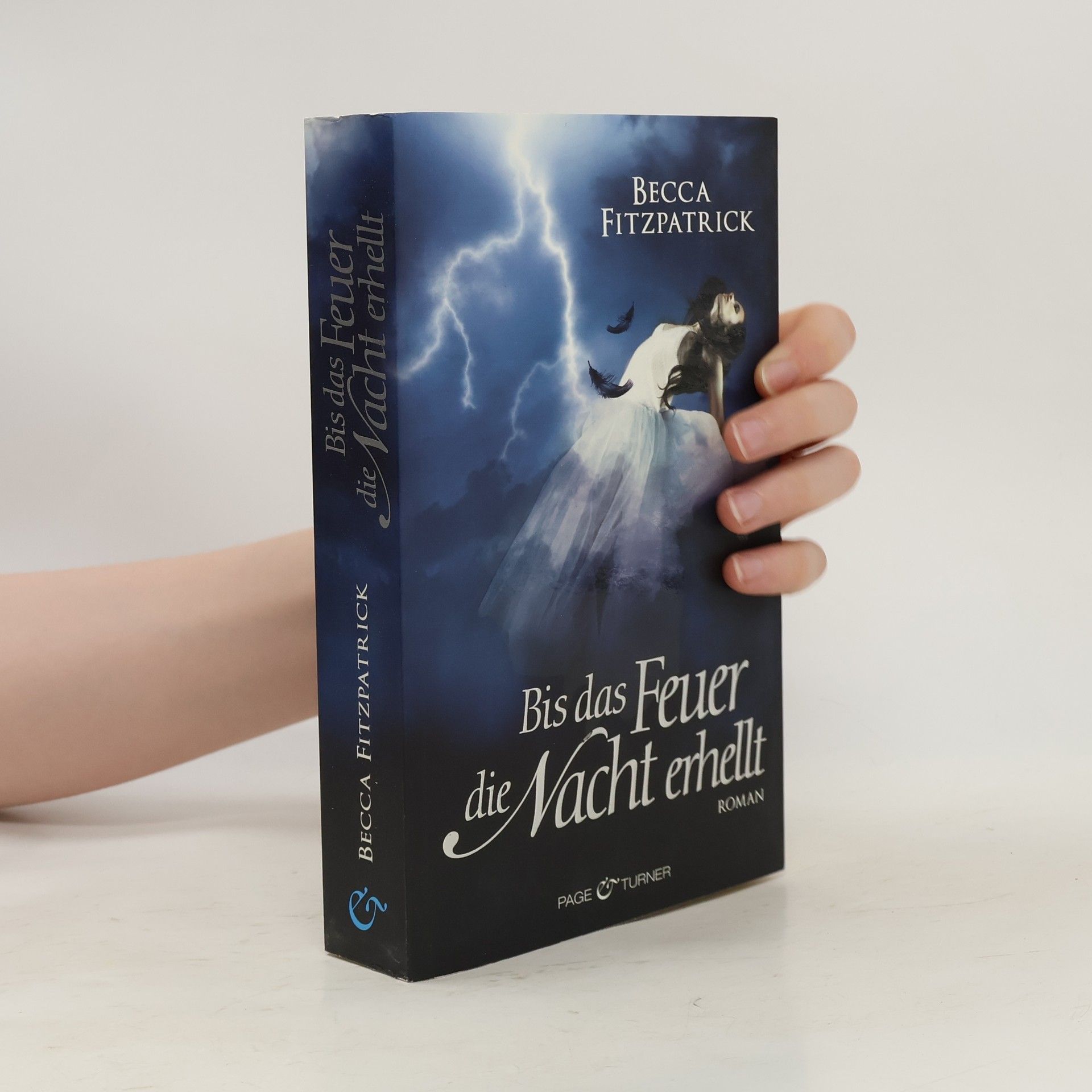Becca Fitzpatrick Bis das Feuer die Nacht erhellt