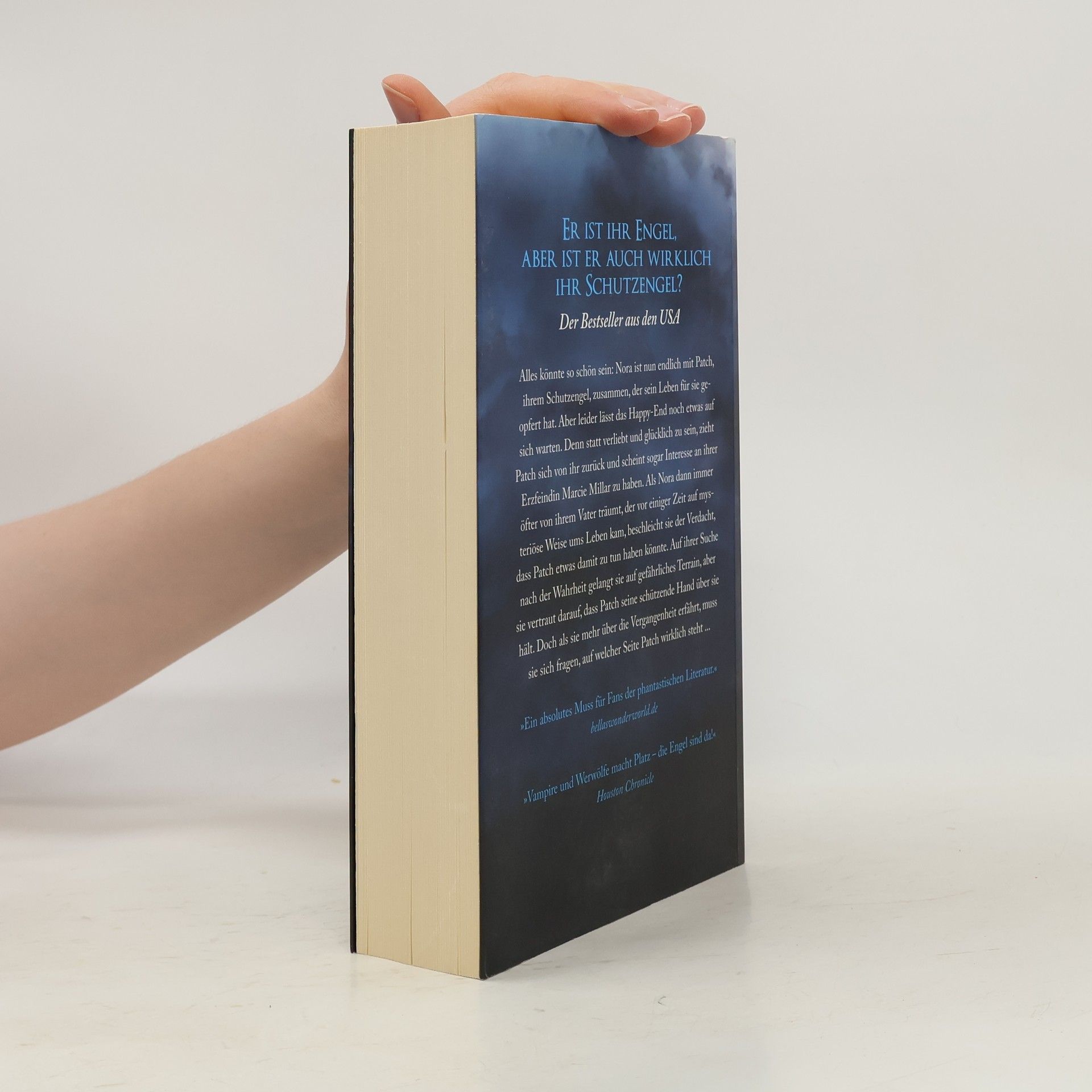 Becca Fitzpatrick Bis das Feuer die Nacht erhellt