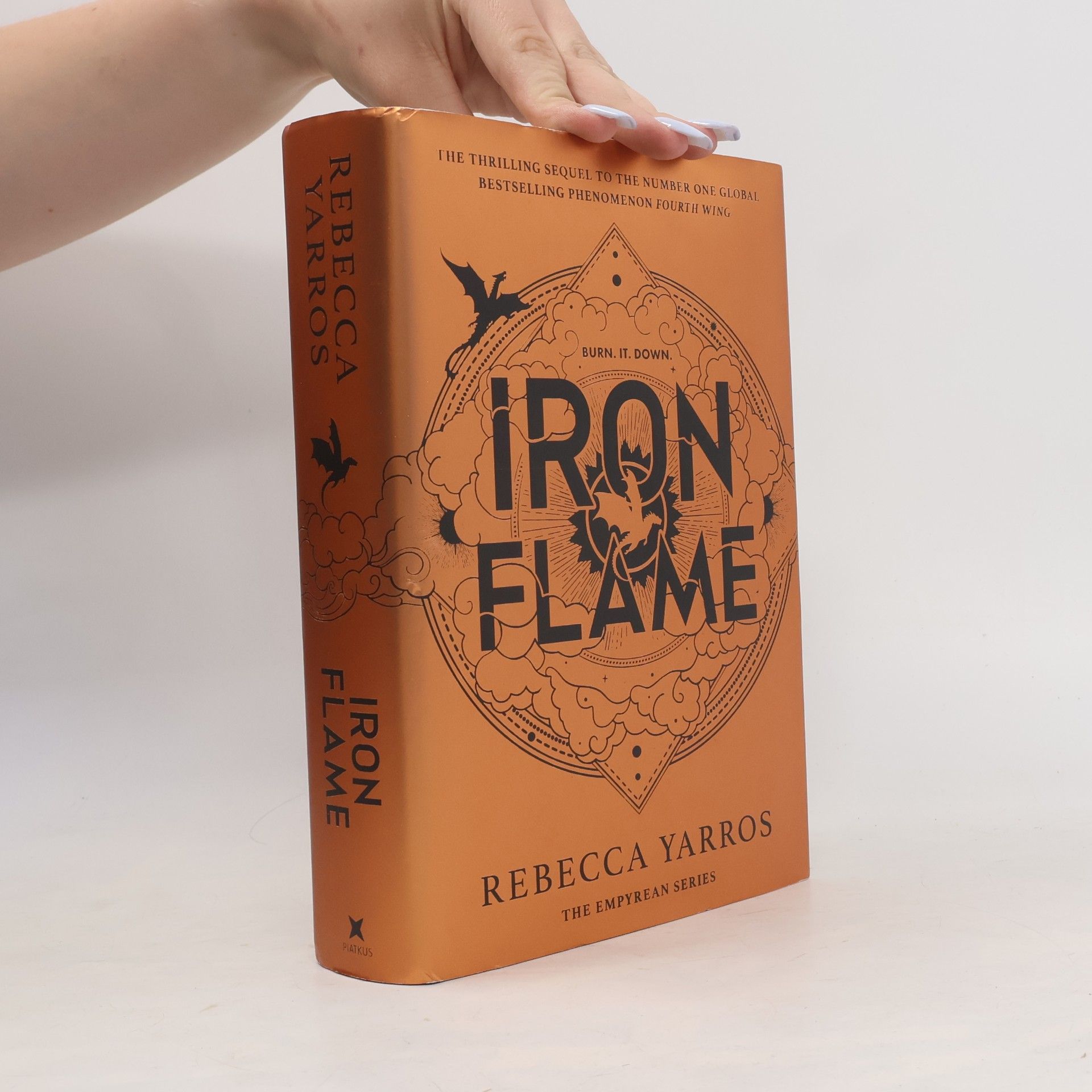 Iron Flame