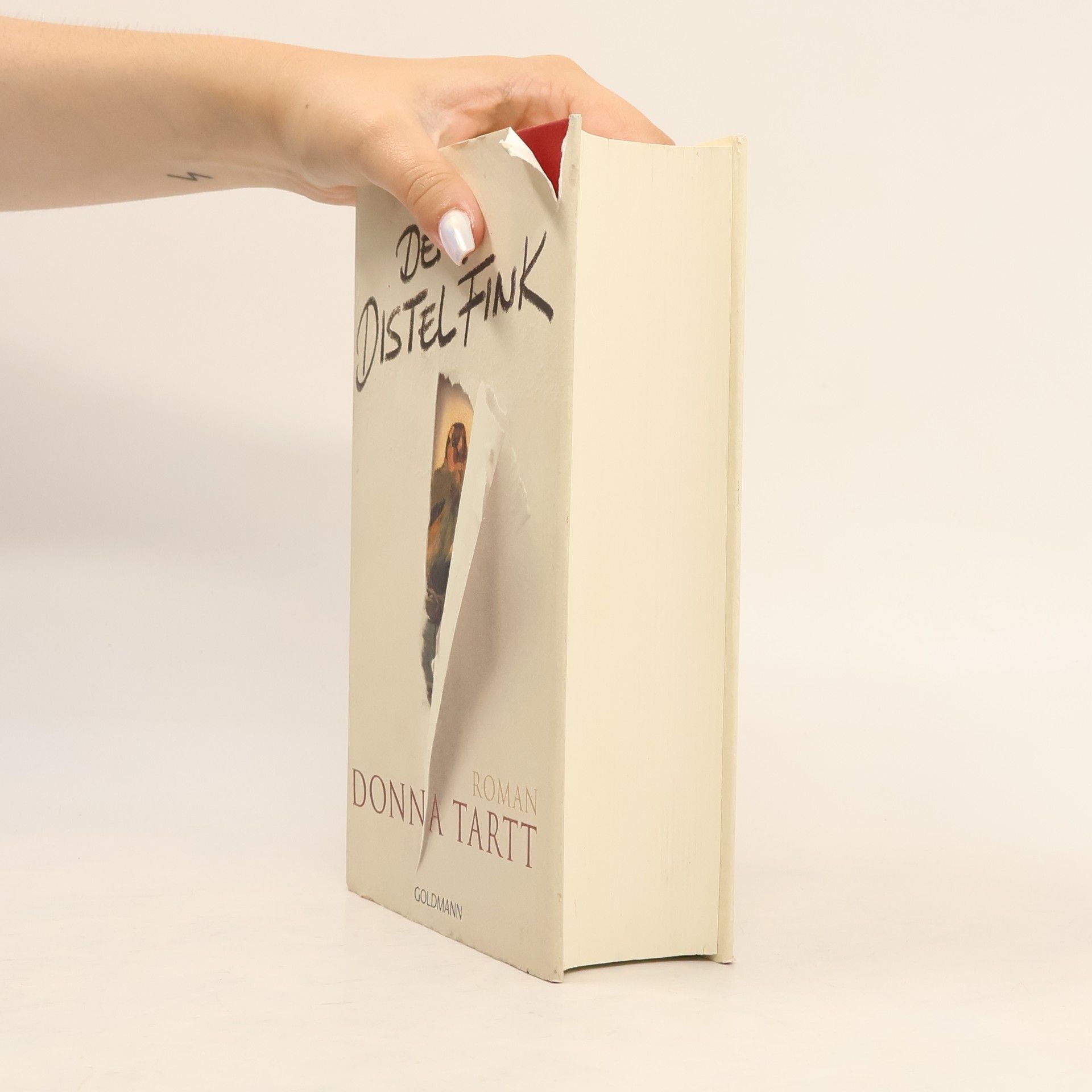 Donna Tartt Der Distelfink