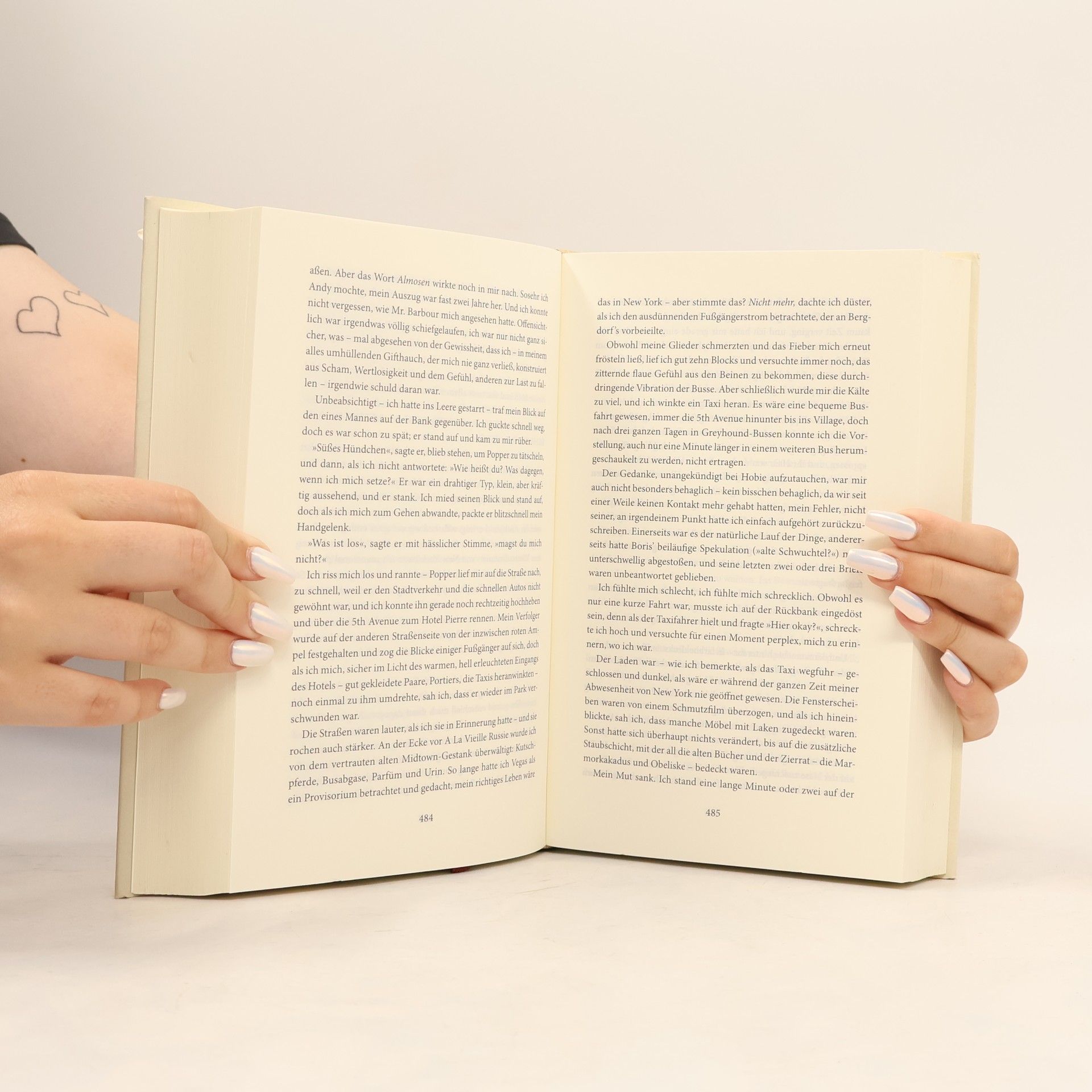 Donna Tartt Der Distelfink