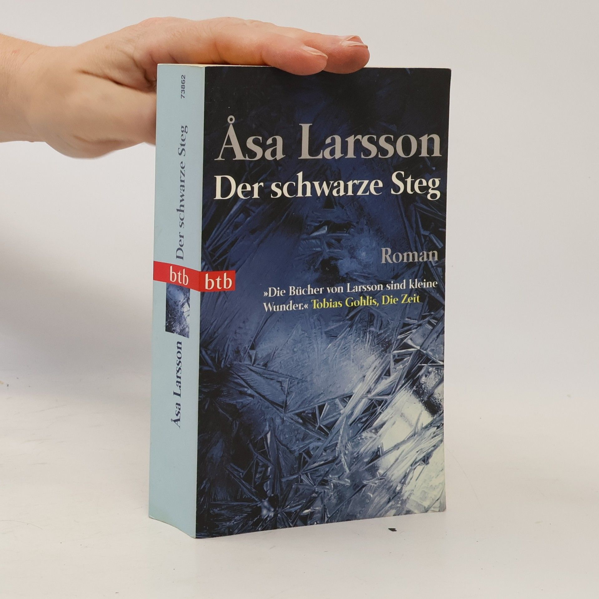 Åsa Larsson Der schwarze Steg