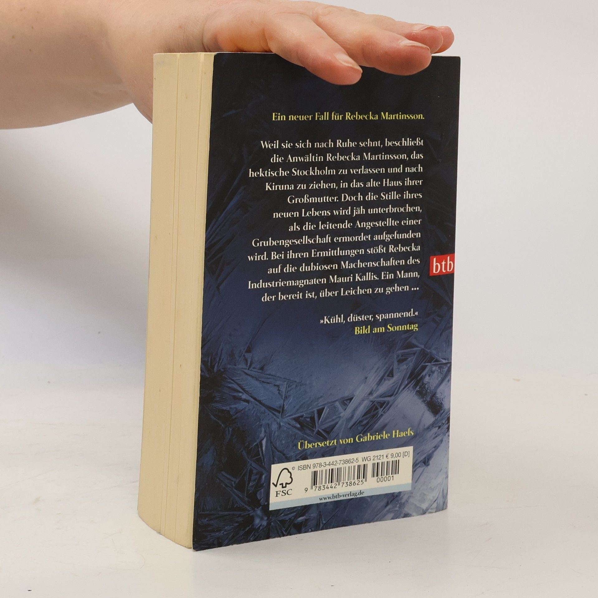 Åsa Larsson Der schwarze Steg