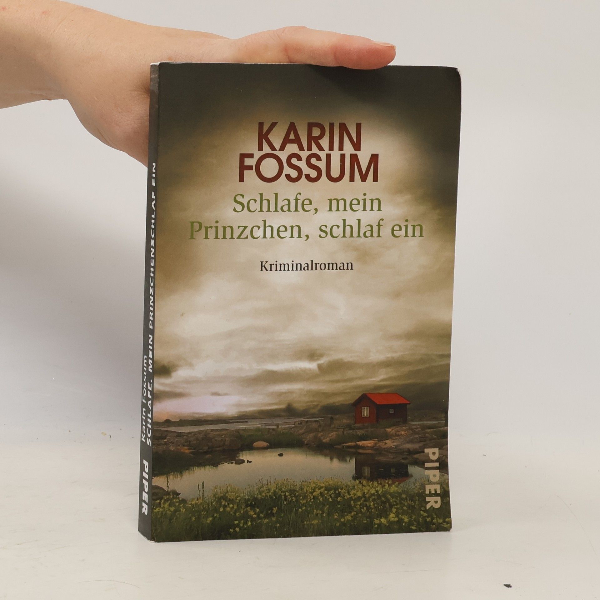 Karin Fossum Schlafe, mein Prinzchen, schlaf ein