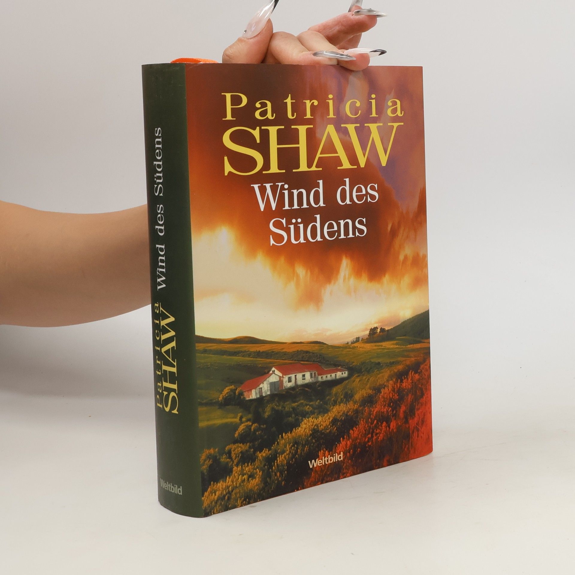 Patricia Shaw Wind des Südens