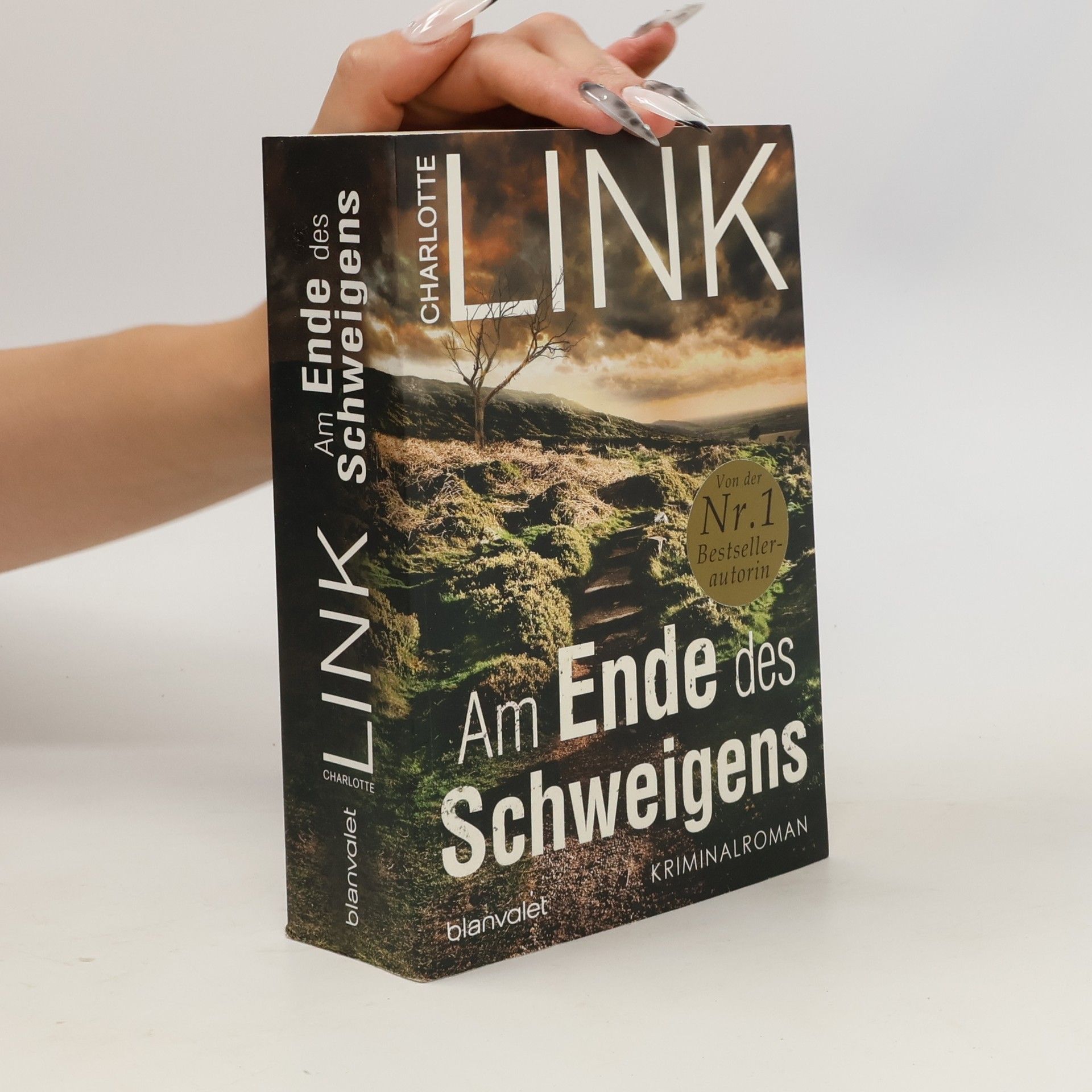 Charlotte Link Am Ende des Schweigens
