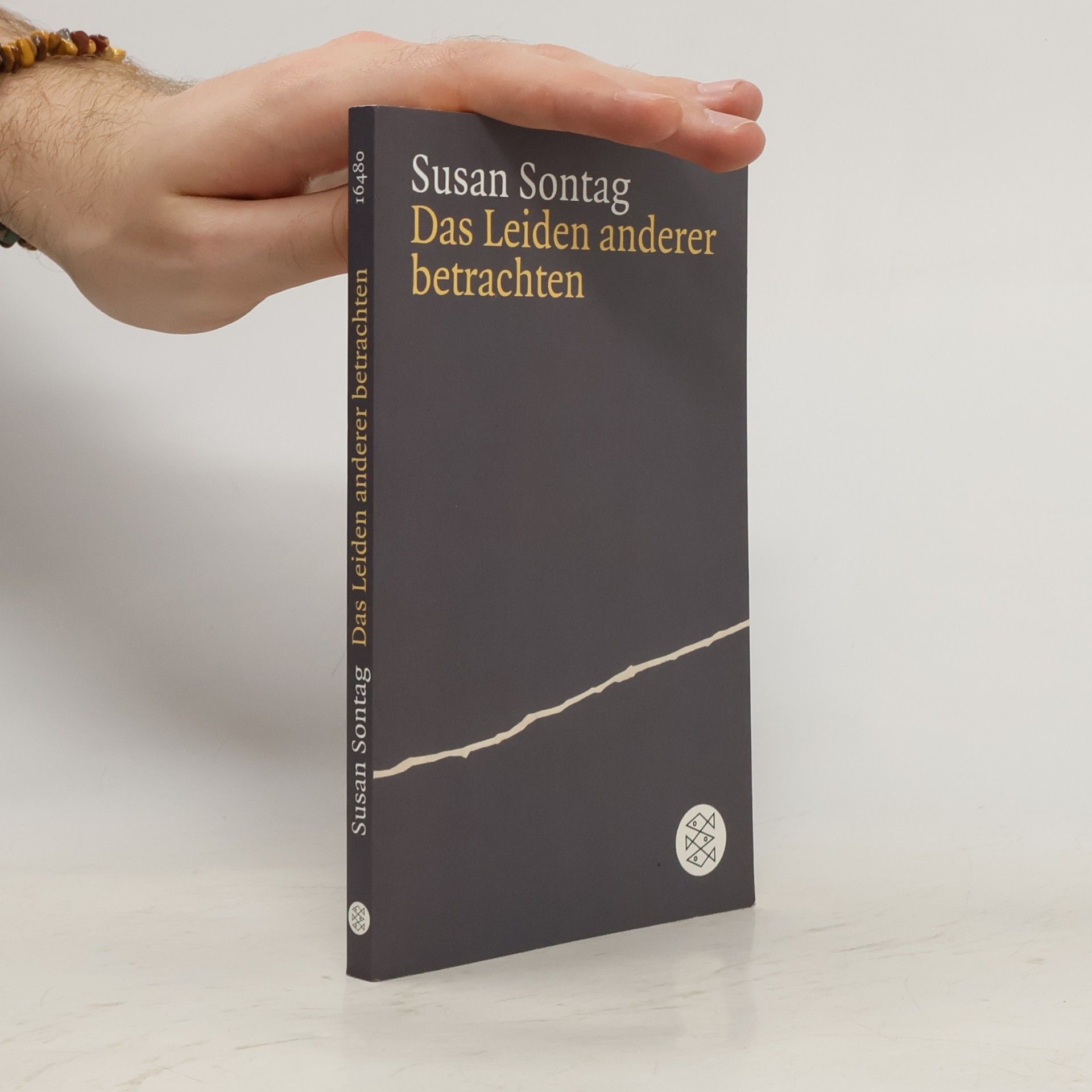 Susan Sontag Das Leiden anderer betrachten