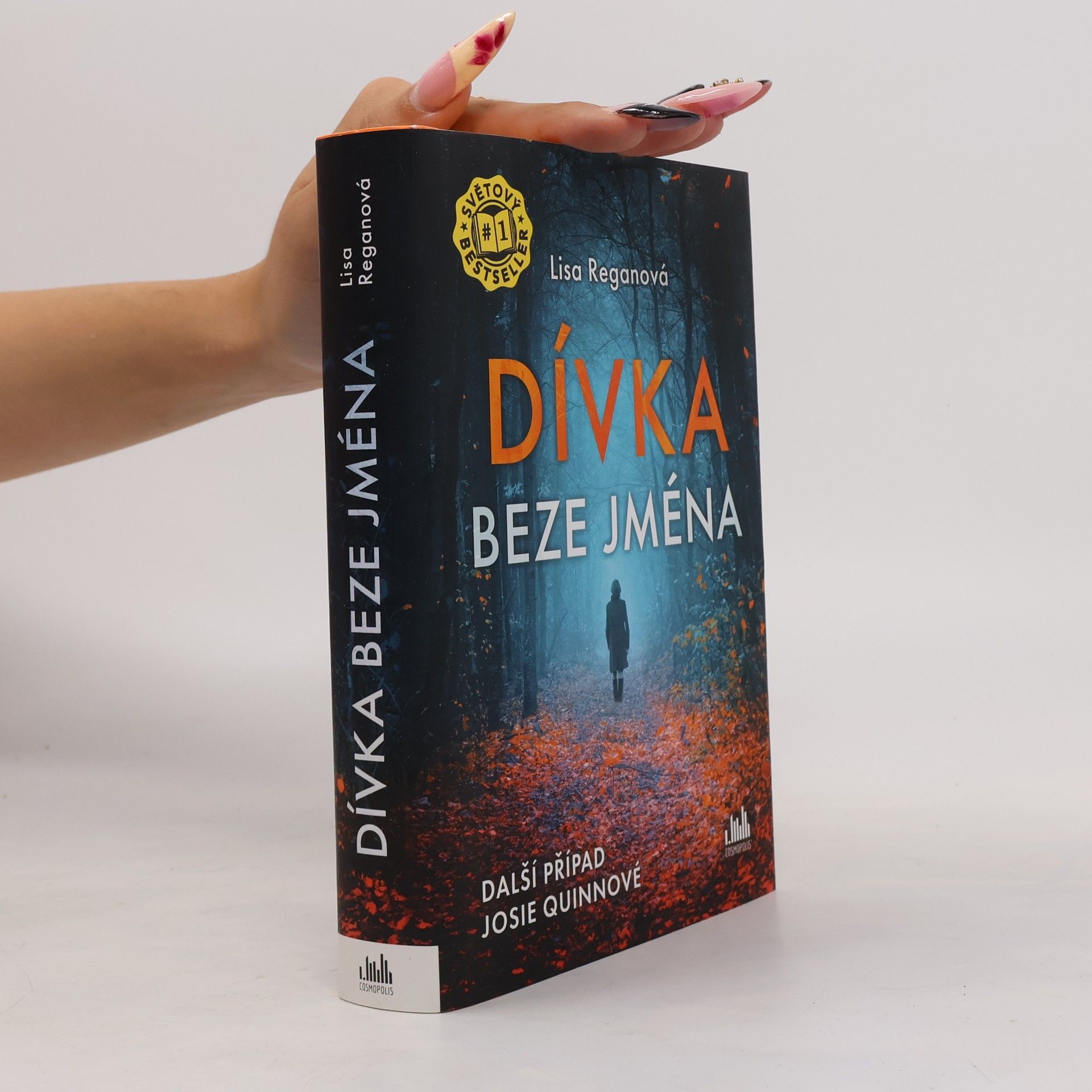 Lisa Regan Dívka beze jména: Další případ Josie Quinnové