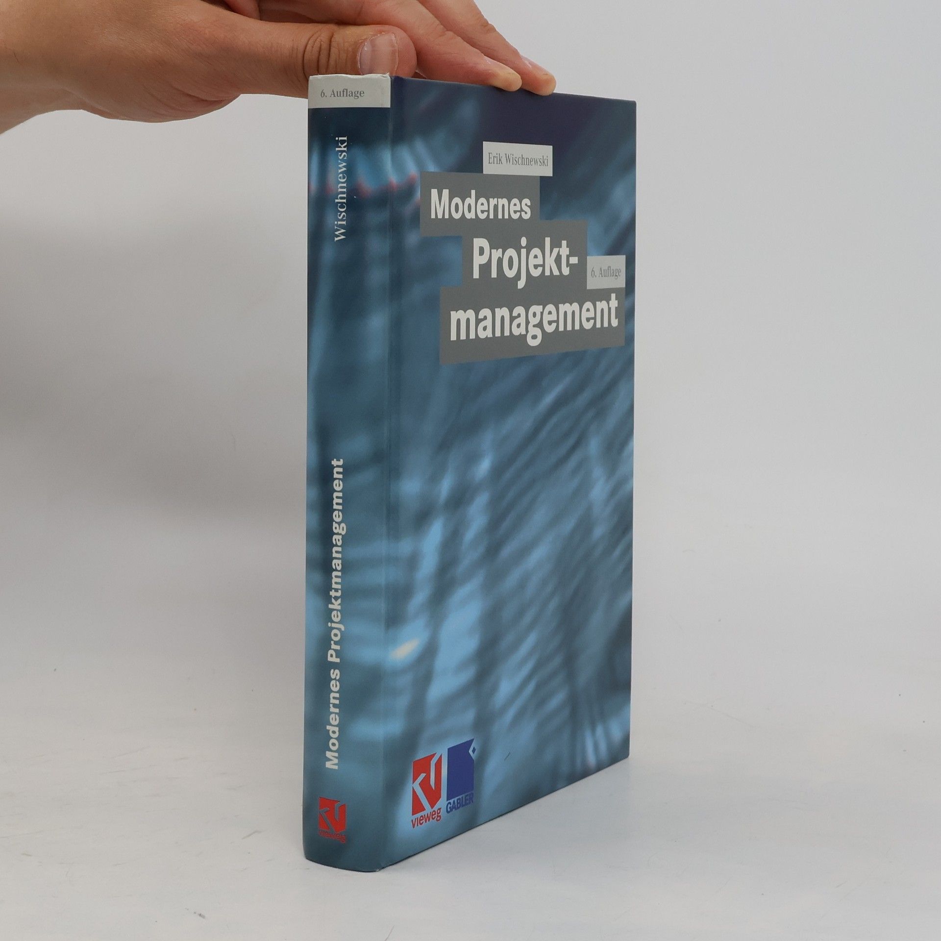 Erik Wischnewski Modernes Projektmanagement - 6. Auflage