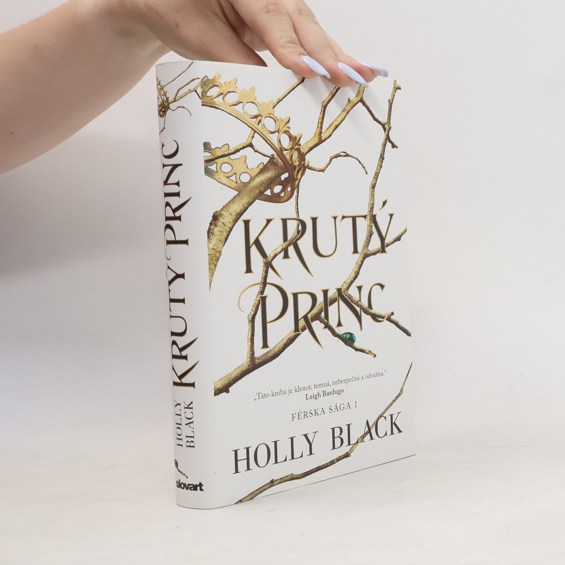Holly Black Krutý princ