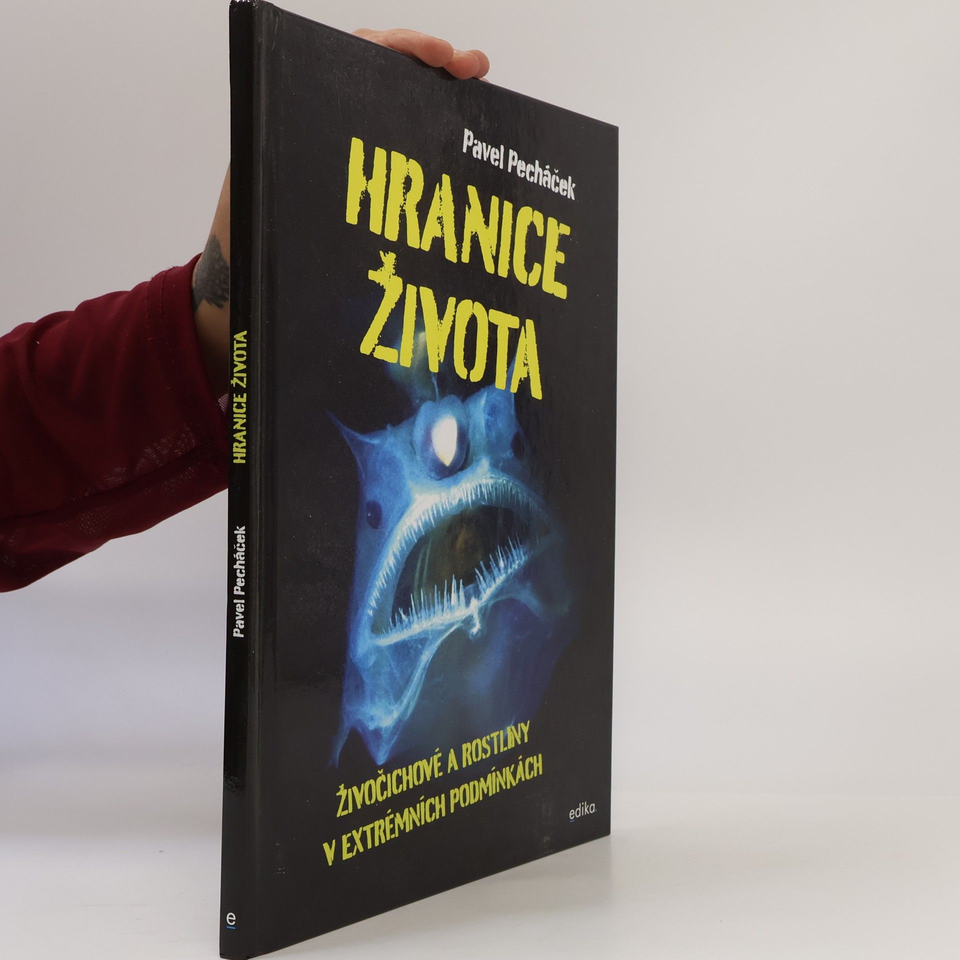 Pavel Pecháček Hranice života