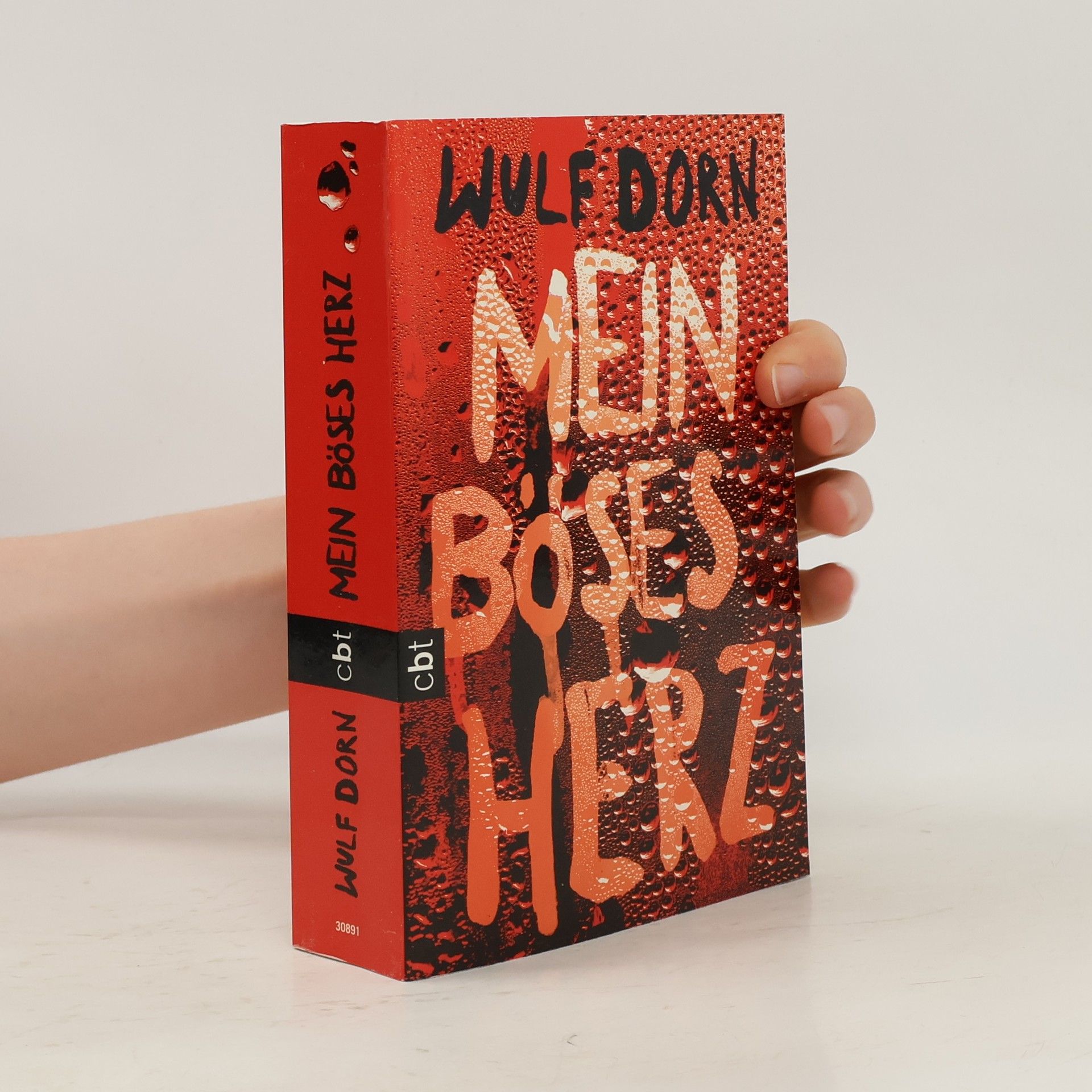 Wulf Dorn Mein böses Herz
