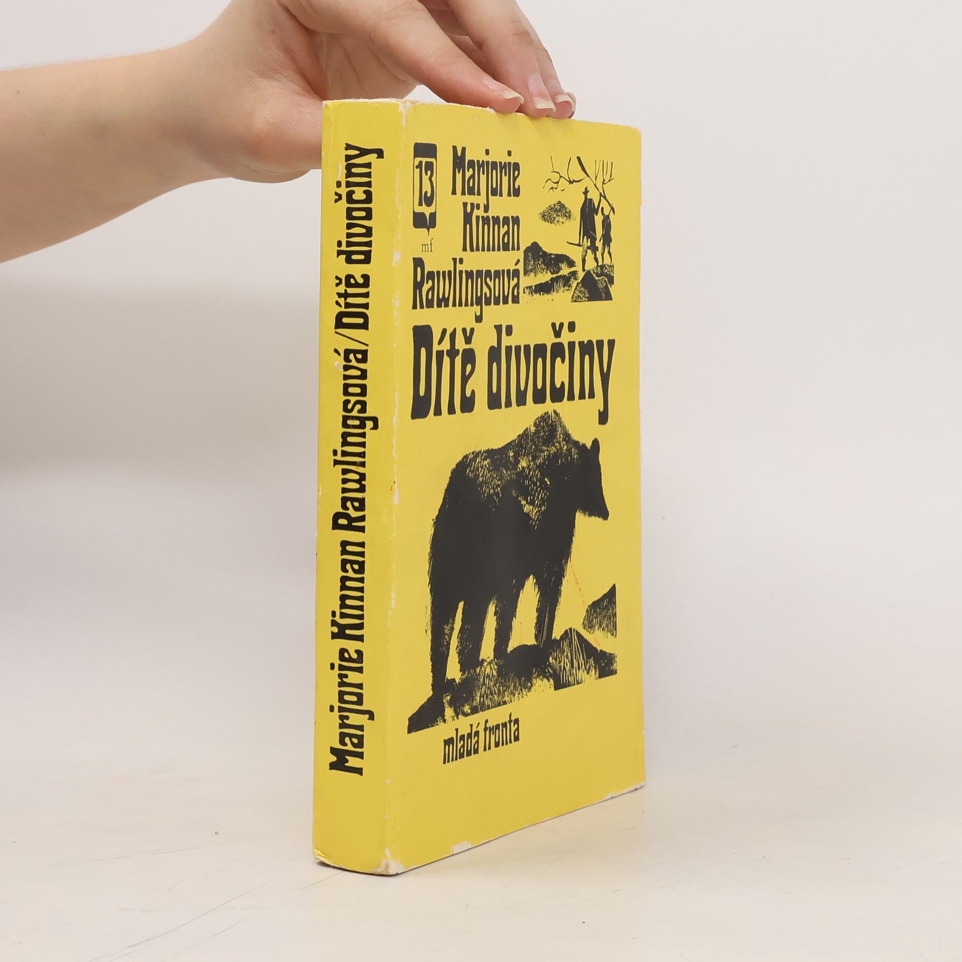 Marjorie Kinnan Rawlings Dítě divočiny