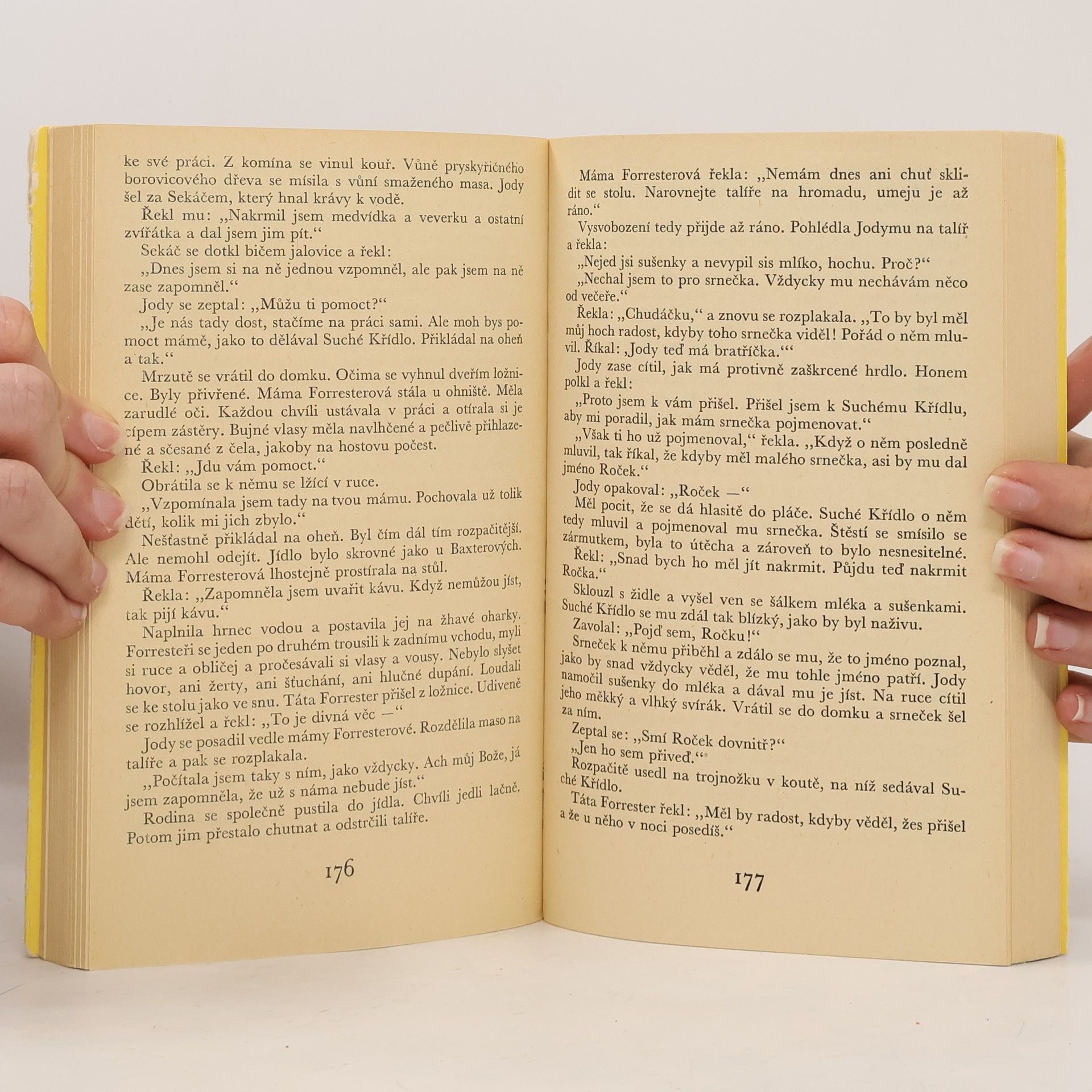 Marjorie Kinnan Rawlings Dítě divočiny