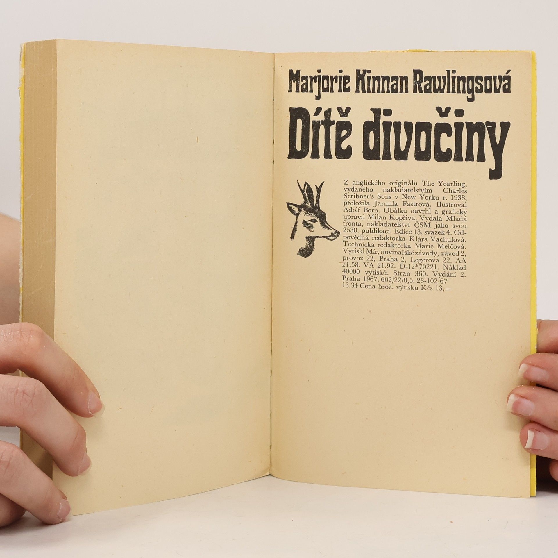Marjorie Kinnan Rawlings Dítě divočiny