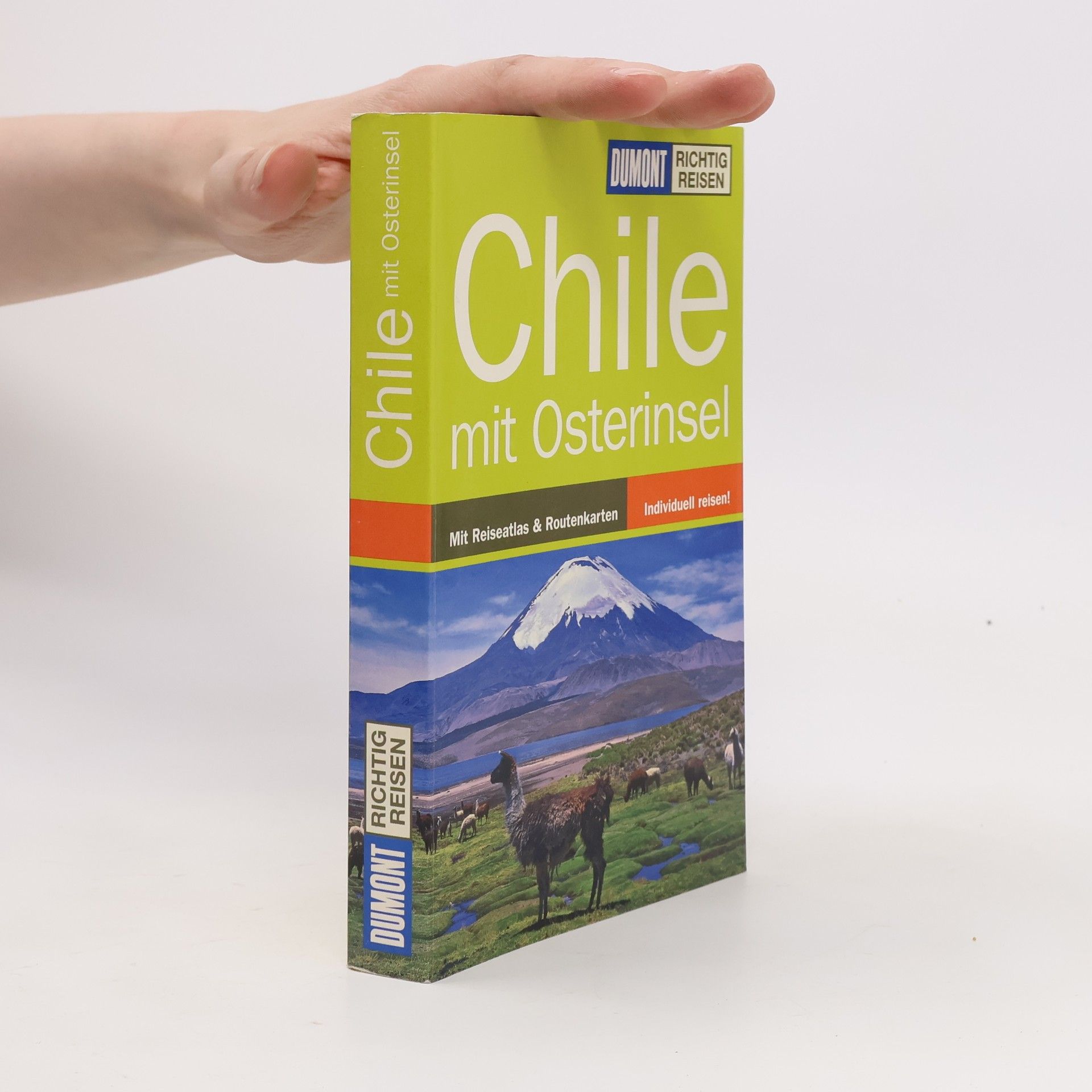 Susanne Asal Chile
