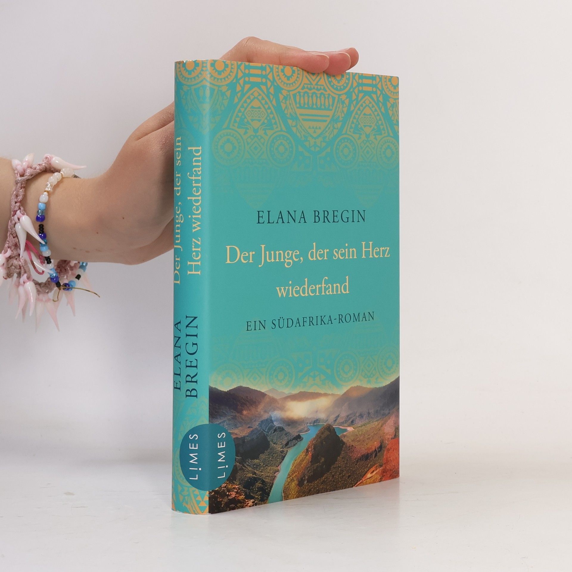 Elana Bregin Der Junge, der sein Herz wiederfand