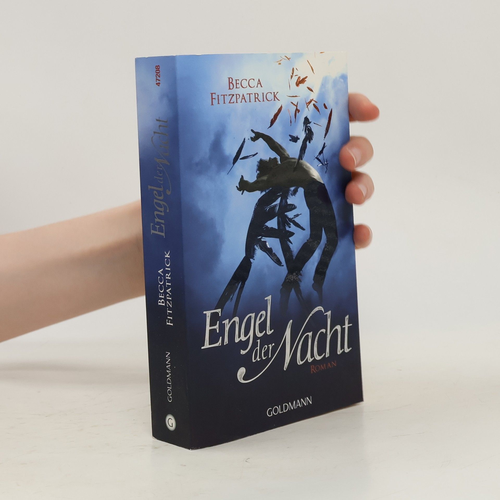Becca Fitzpatrick Engel der Nacht