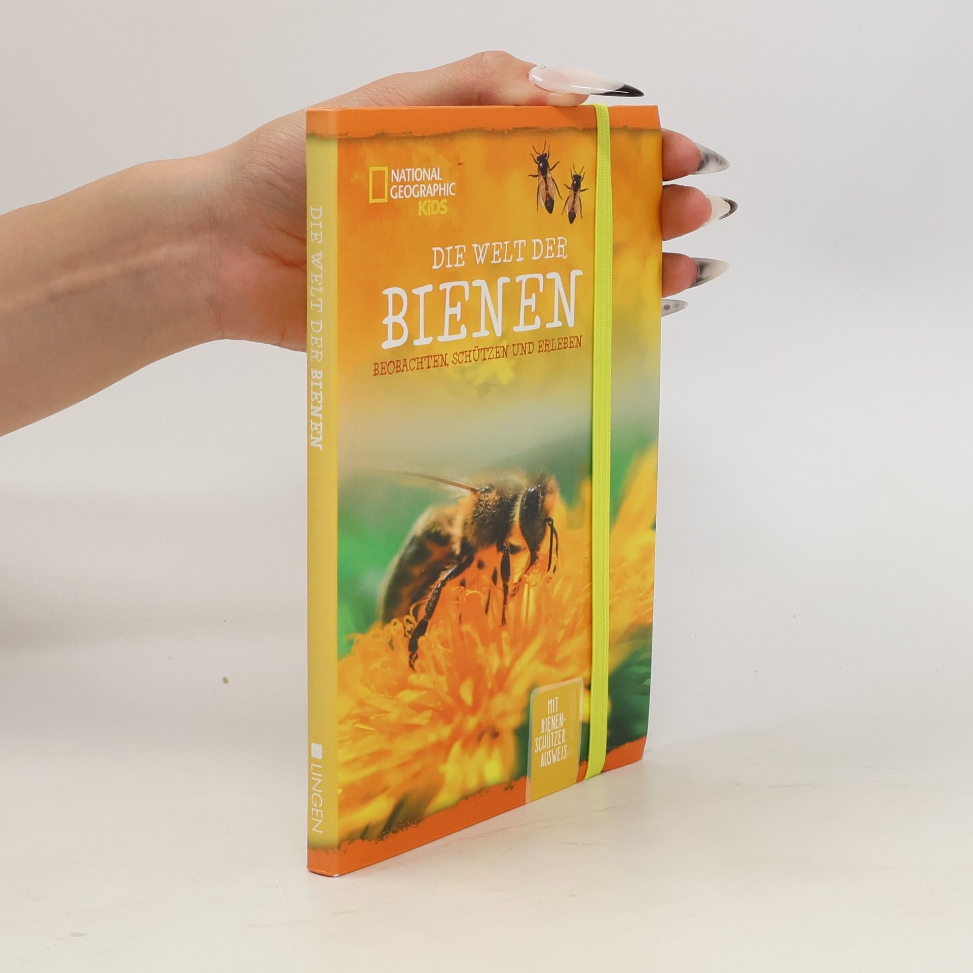 Autorenkollektiv Die Welt der Bienen Beobachten, Schützen und Erleben