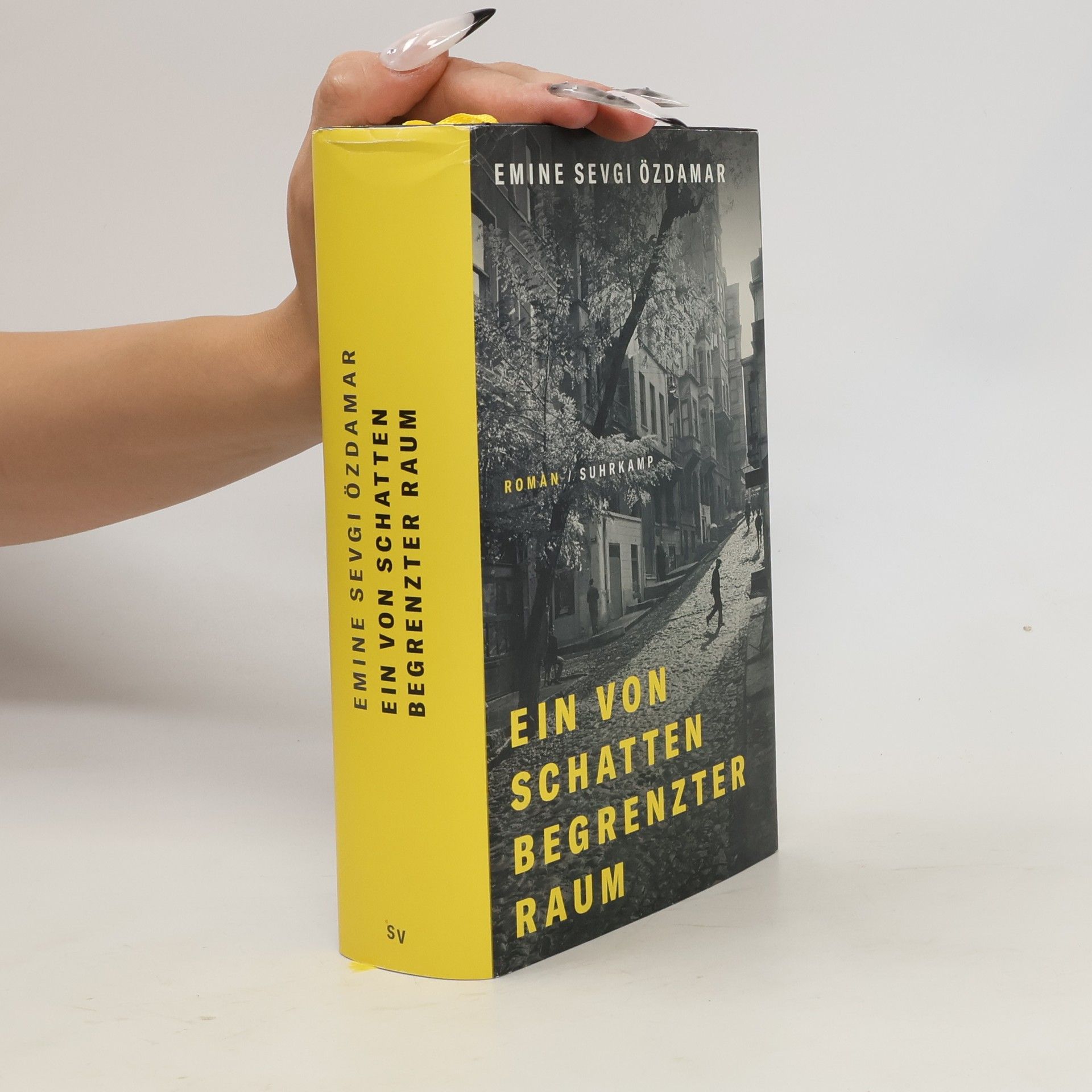 Emine Sevgi Özdamar Ein von Schatten begrenzter Raum