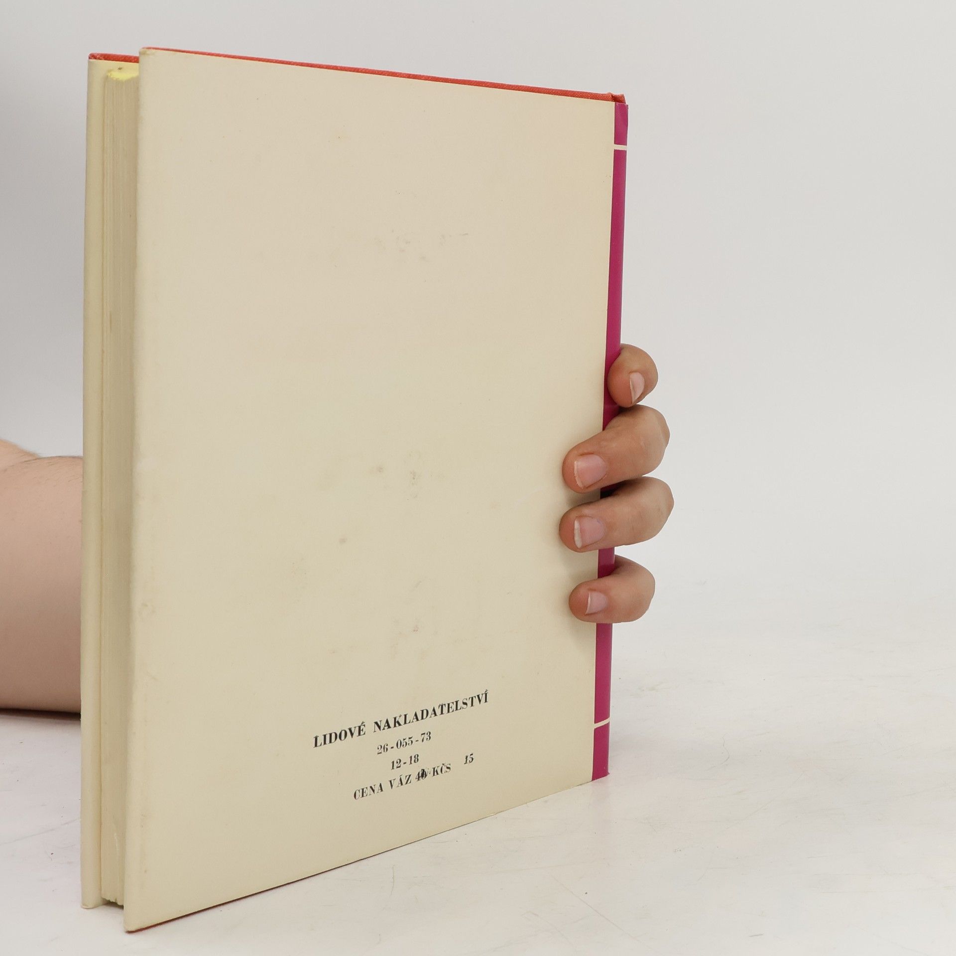 Autorenkollektiv Přehled ruské literatury. Od nejstarších dob po dnešek