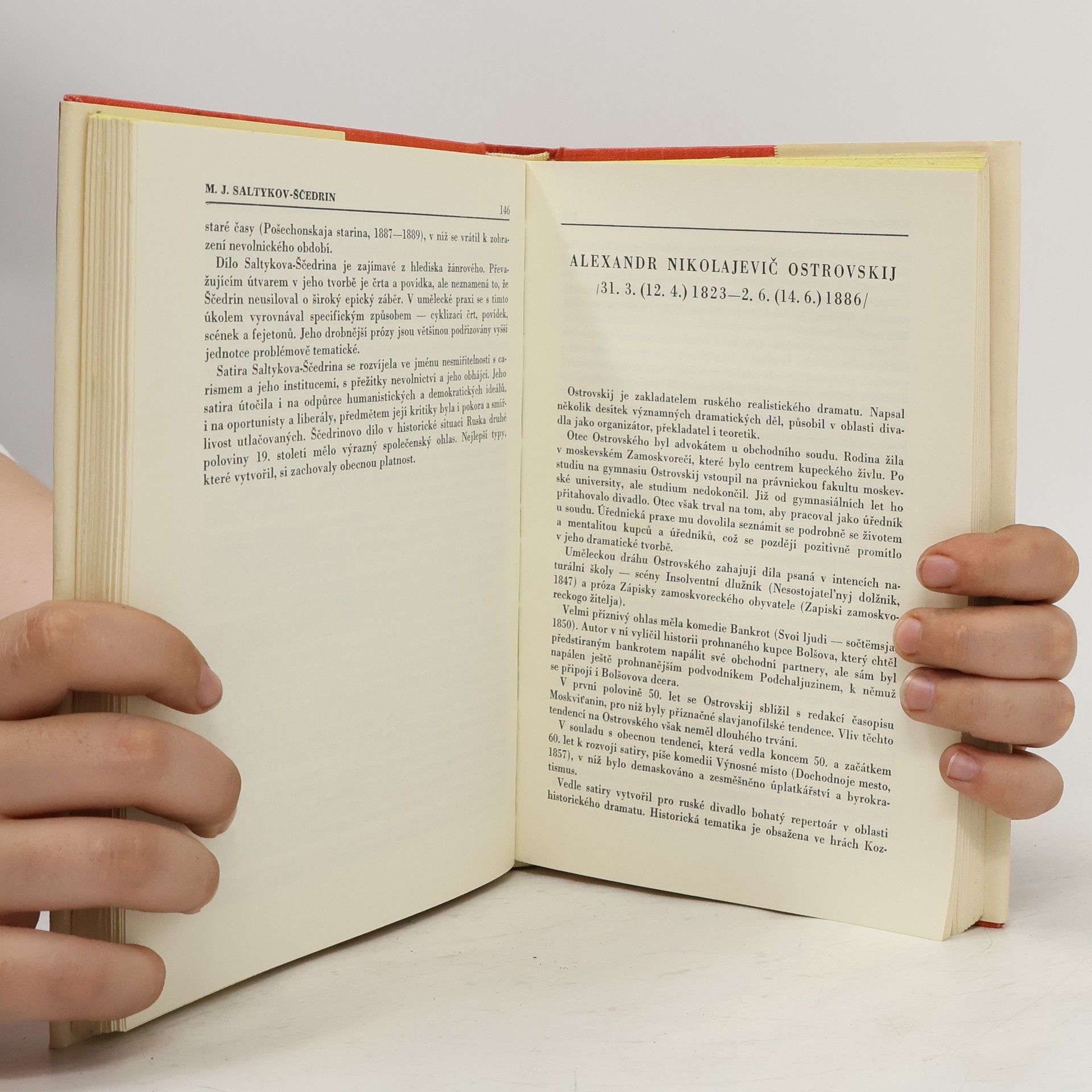 Autorenkollektiv Přehled ruské literatury. Od nejstarších dob po dnešek