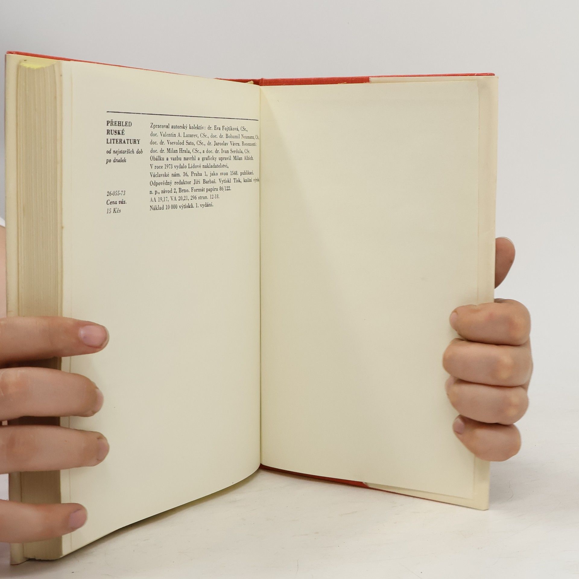 Autorenkollektiv Přehled ruské literatury. Od nejstarších dob po dnešek