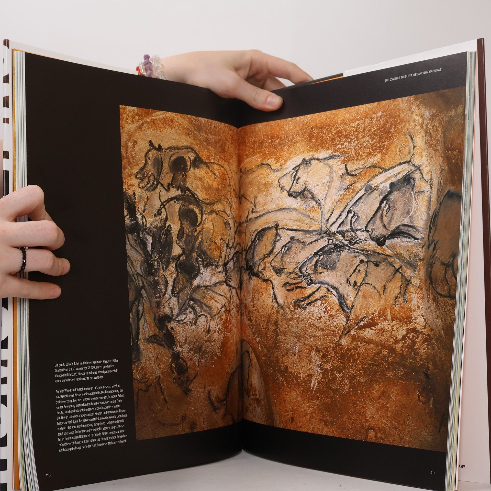 Telmo Pievani Der große Atlas der Menschheit - Homo Sapiens