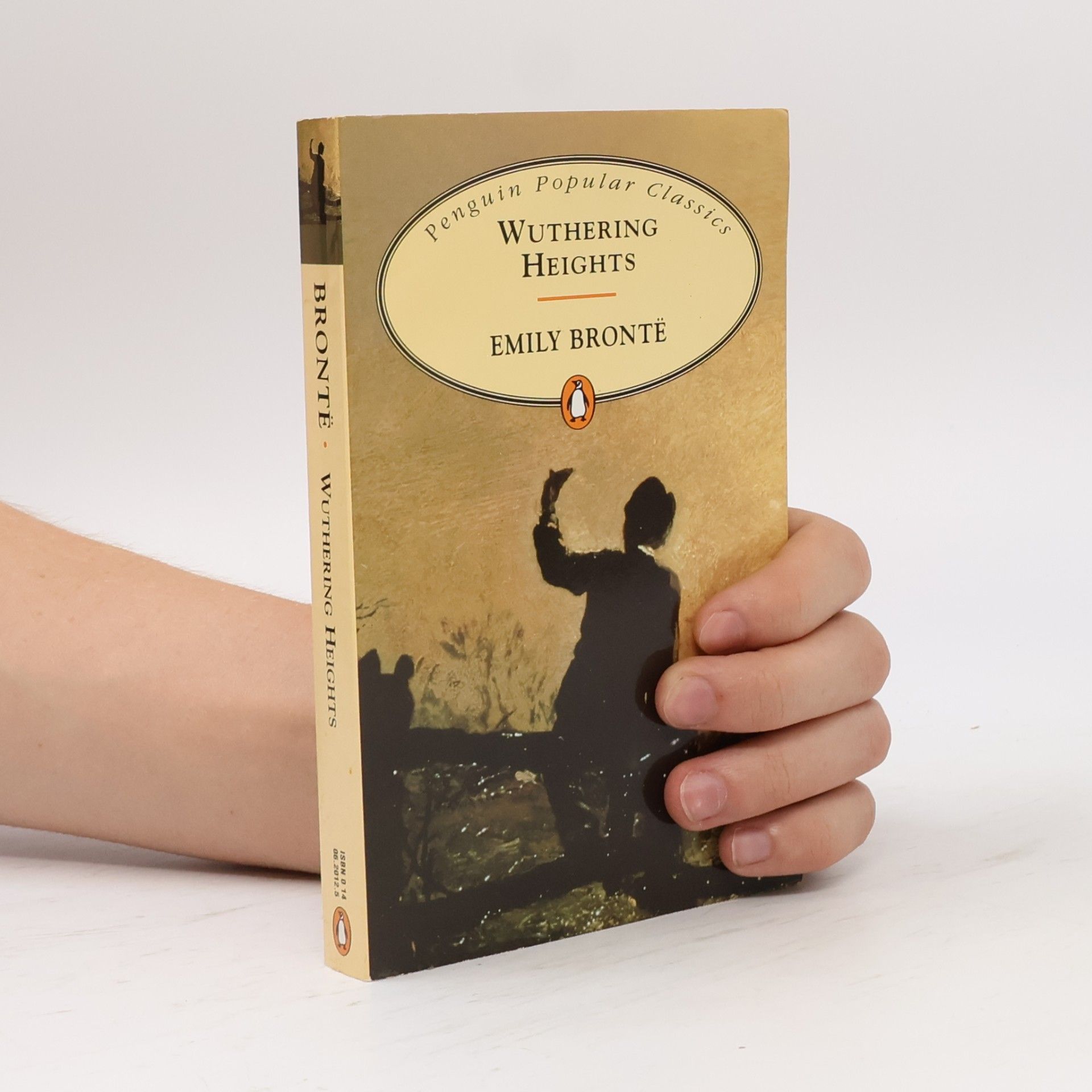 Emily Brontë Wuthering Heights