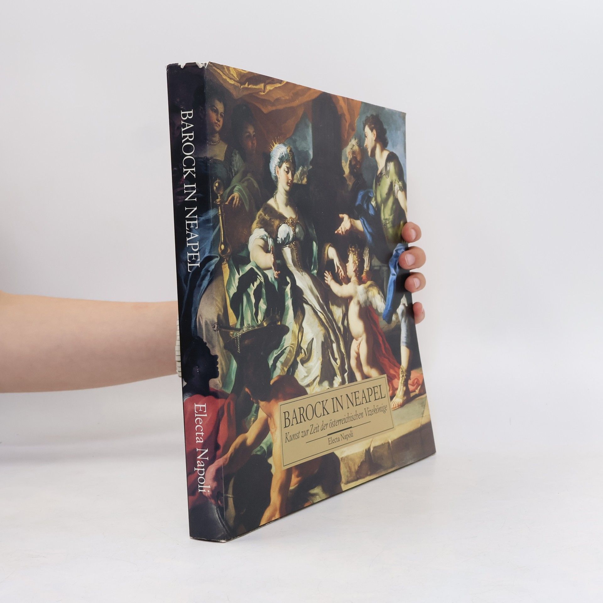 Autorenkollektiv Barock in Neapel. Kunst zur Zeit der österreichischen Vizekönige