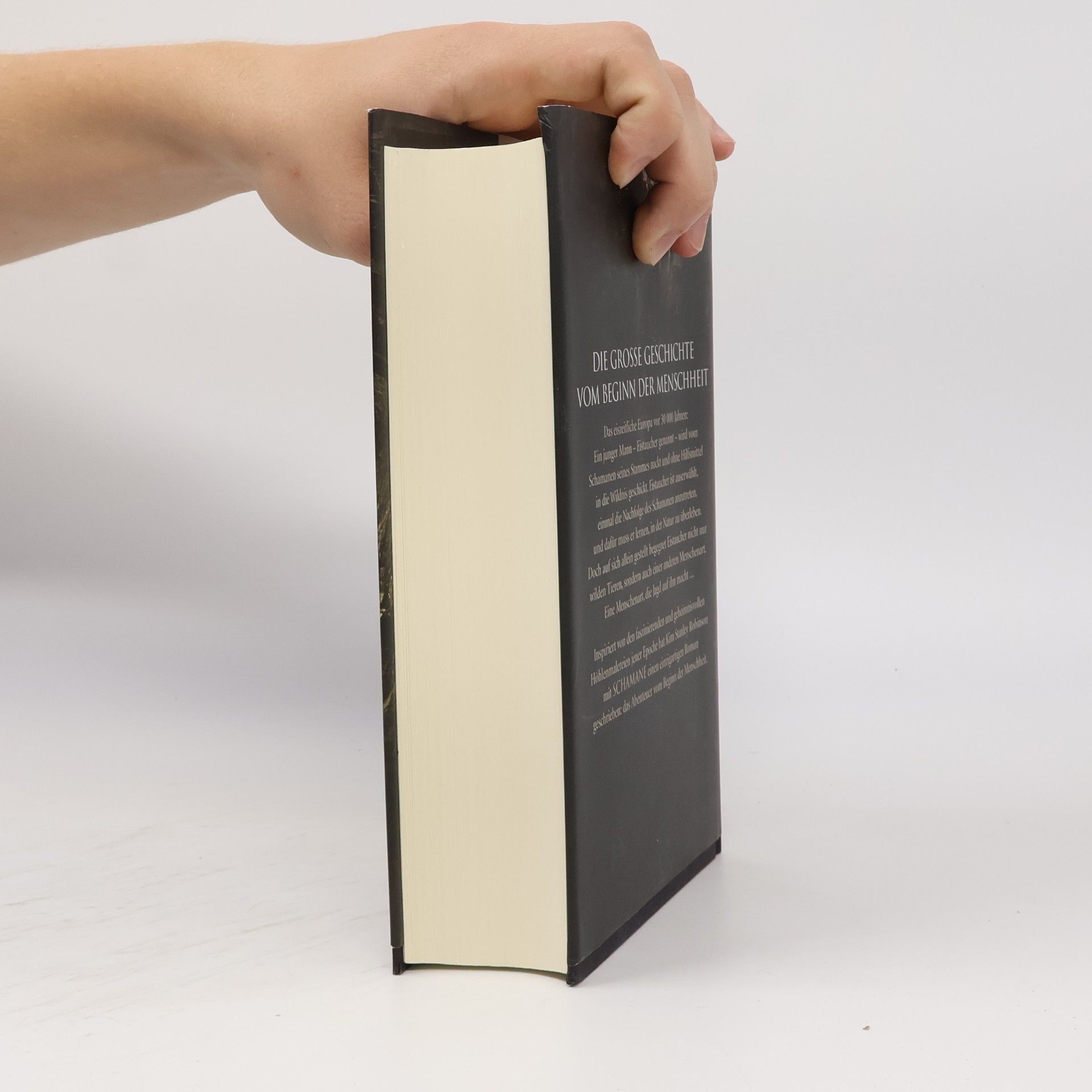 Kim Stanley Robinson Schamane