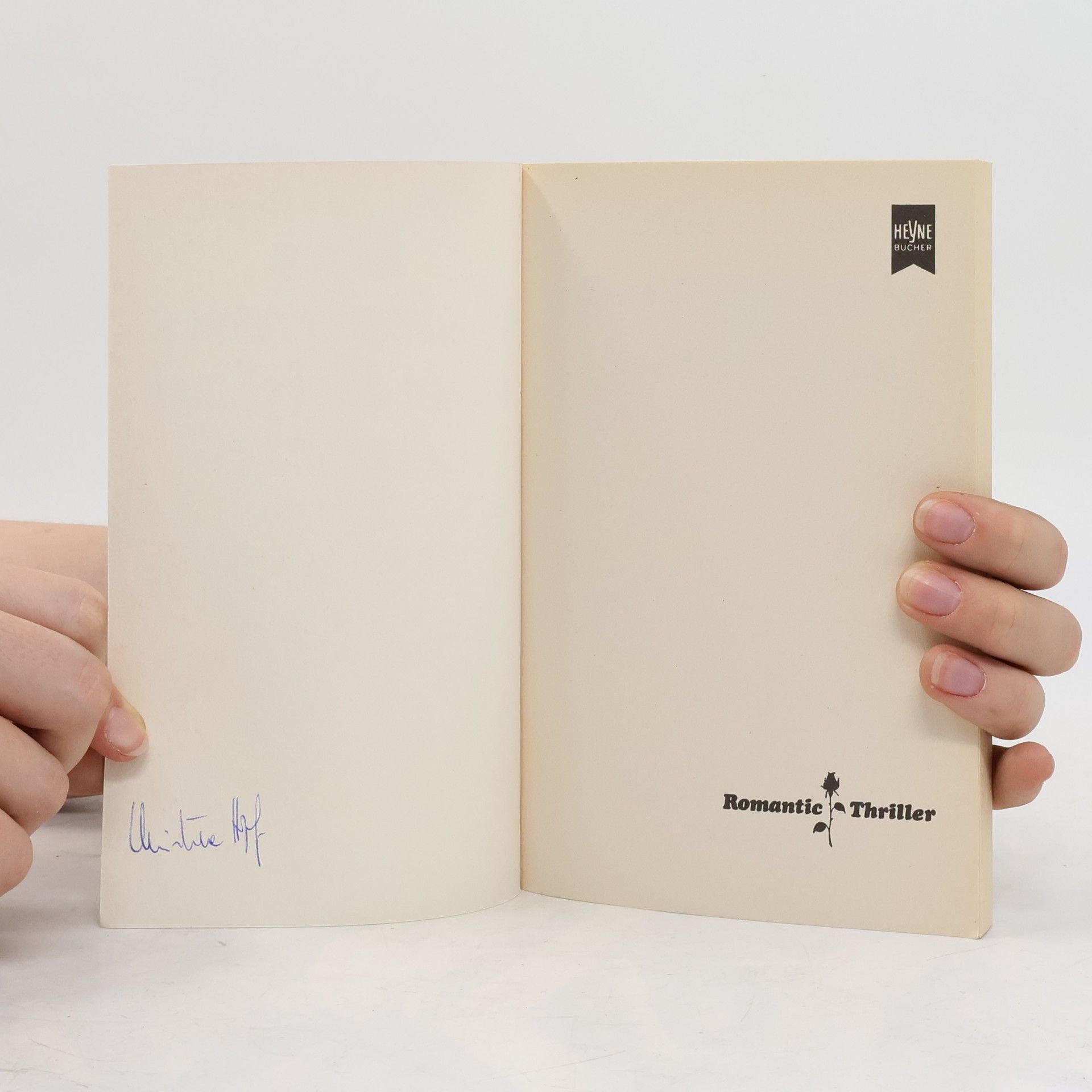 Florence Hurd Das Geheimnis von Schloss Awen