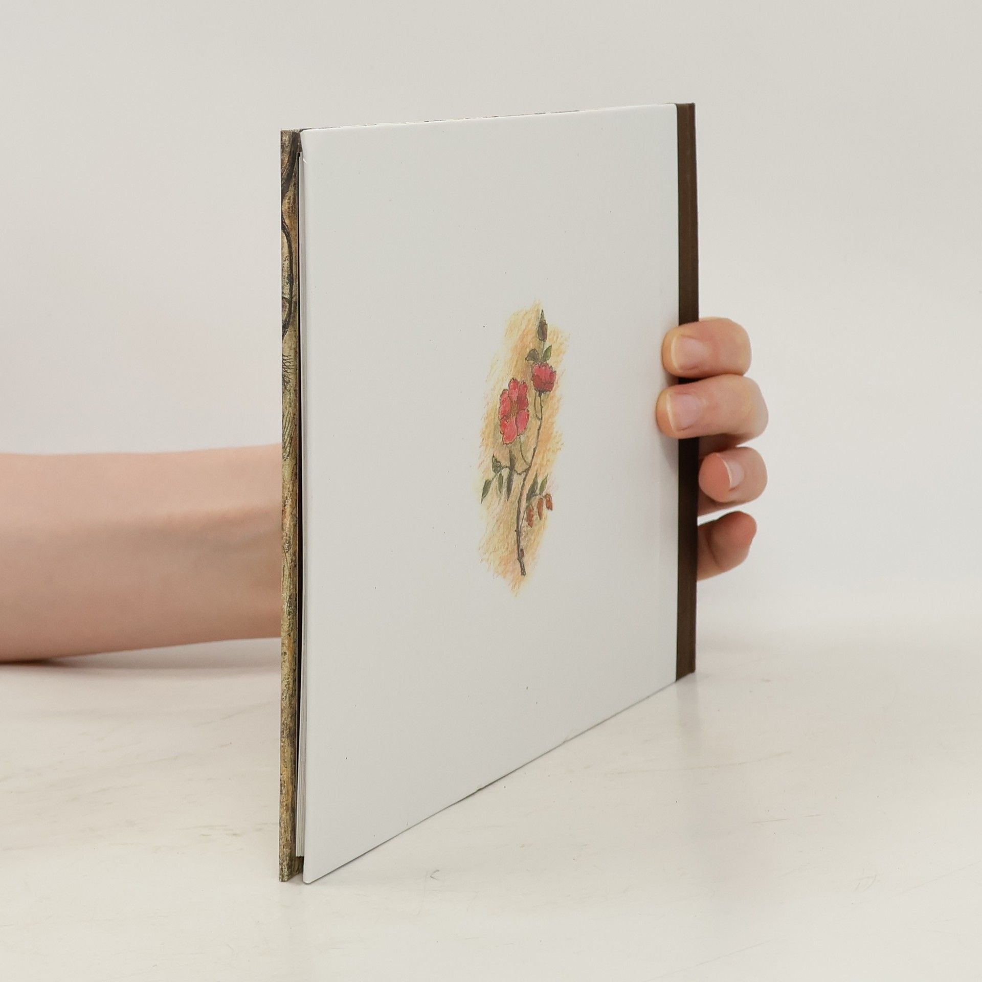 Jacob Grimm Schneeweisschen und Rosenrot
