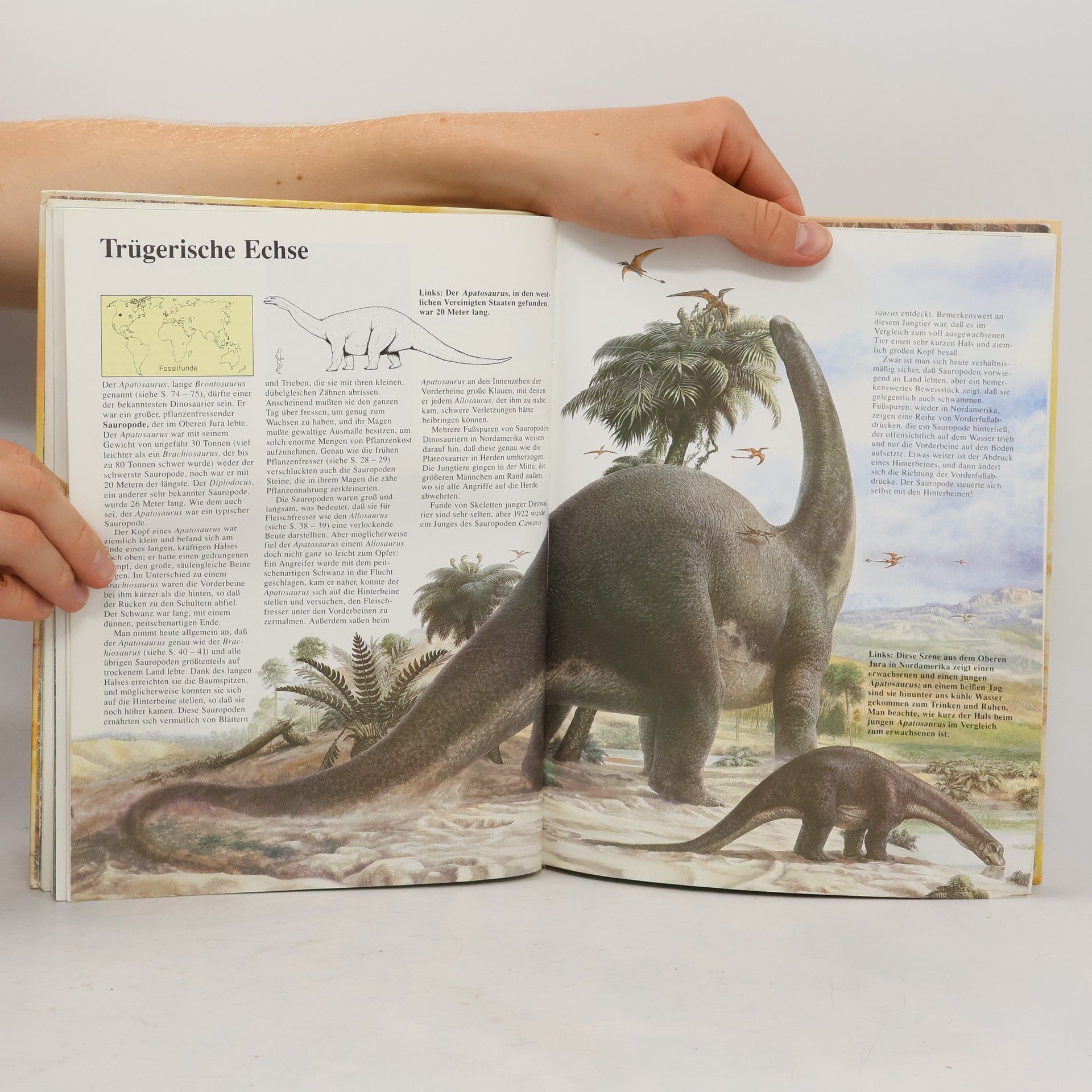 David Norman Dinosaurier regierten die Welt