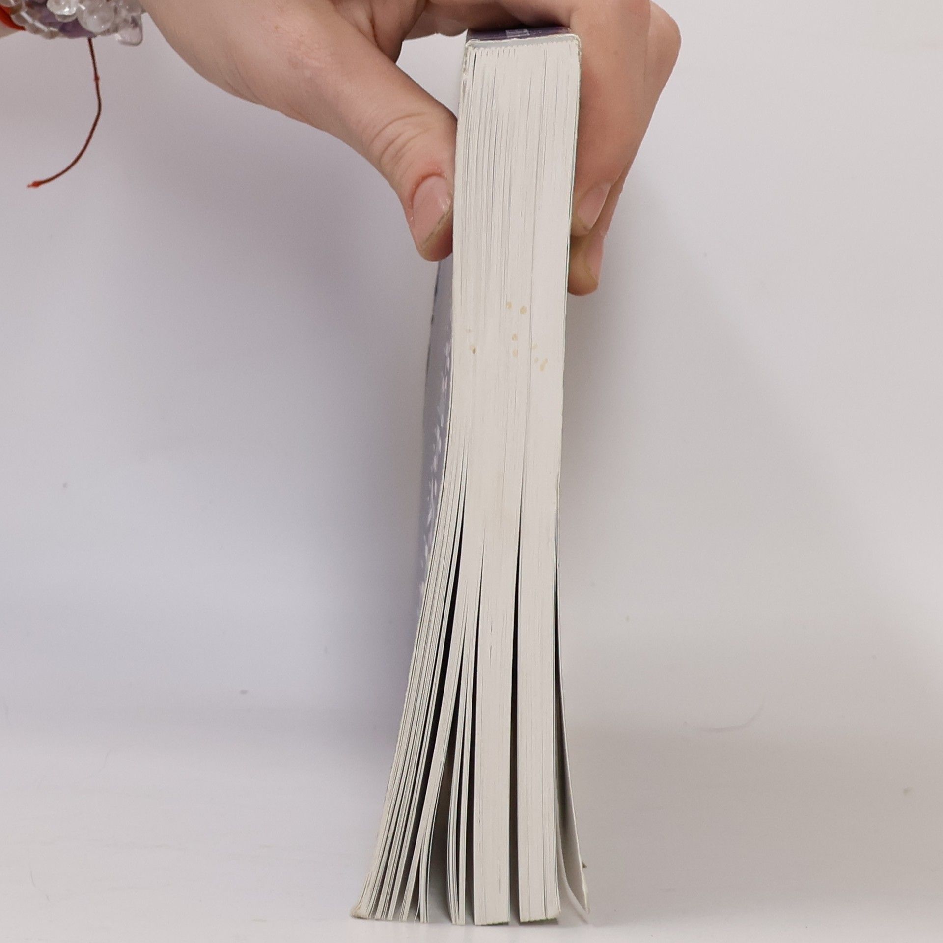 Carola Surkamp Englische Literatur unterrichten 1